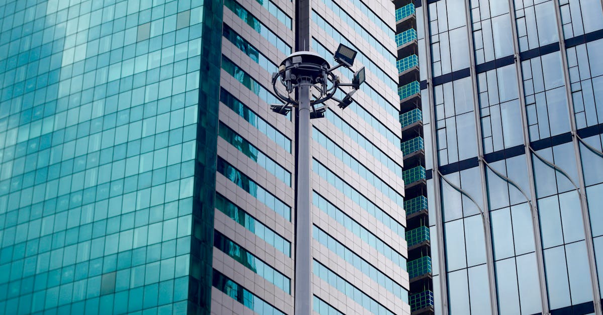 出口荷花（软）：瑶海区注册代理记账企业