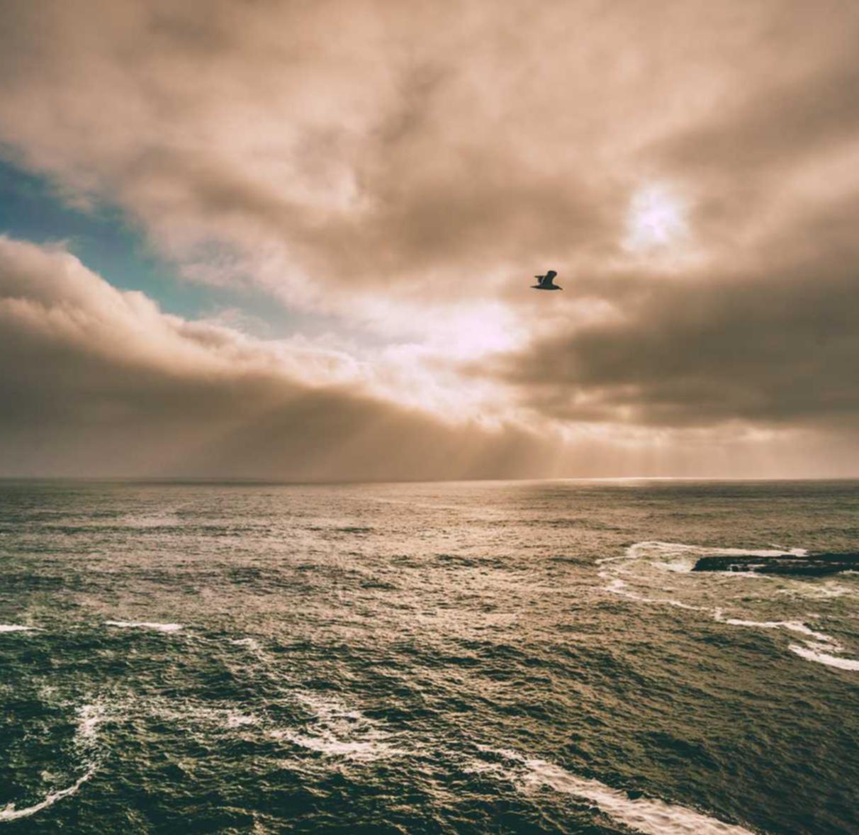 一人之下:四川代理企业注册价格要求