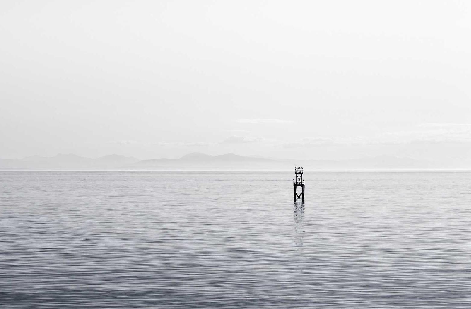 支付宝代刷人脸:天狗网app详情下载教程