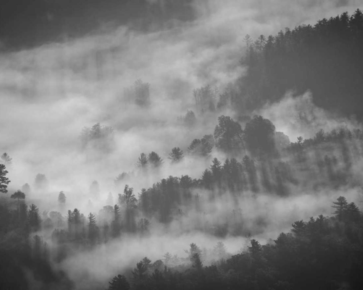 掌握注入漏洞修复的技巧，构筑坚不可摧的网络防线