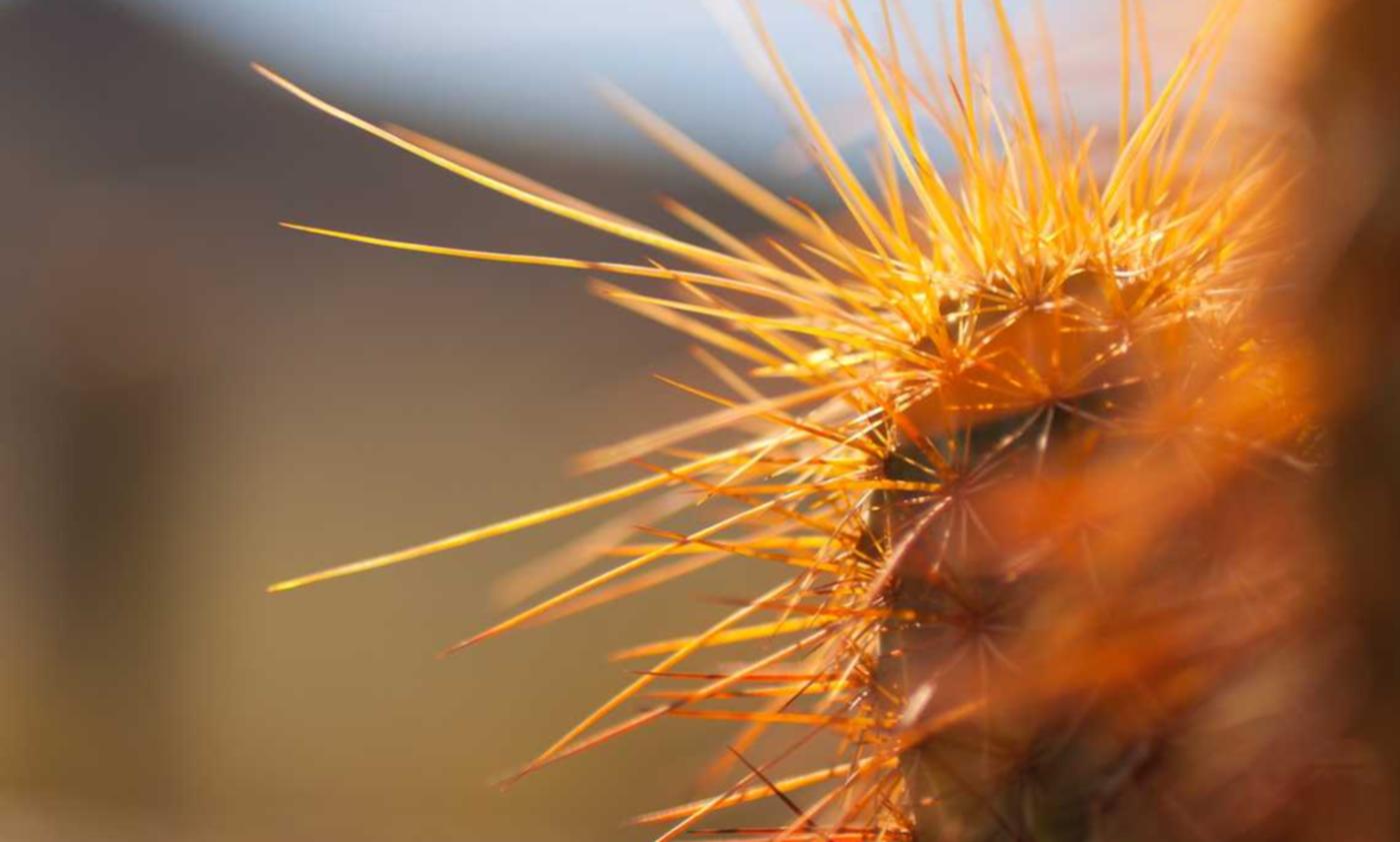 苍之骑士团2：保定代理申请注册公司