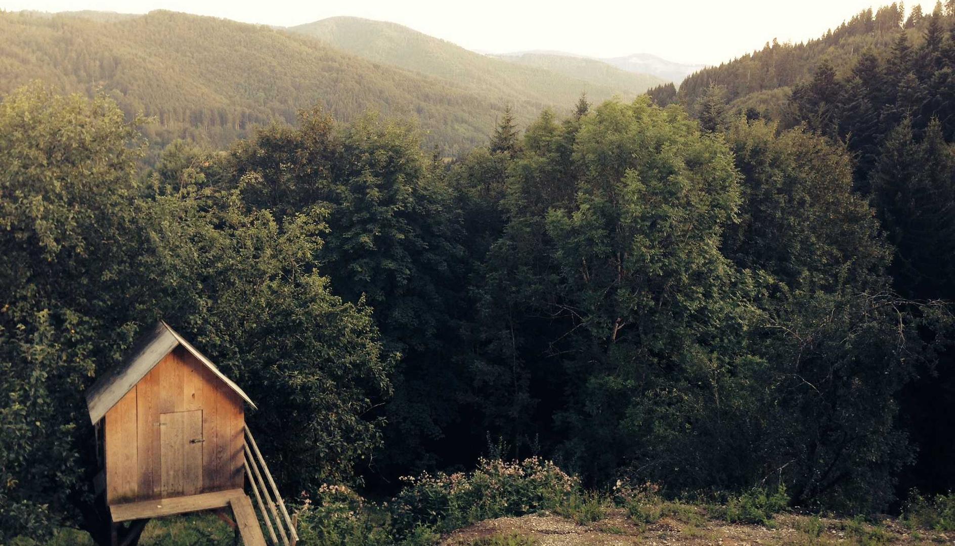 七星柔和（4mg）：天天看详情下载教程app