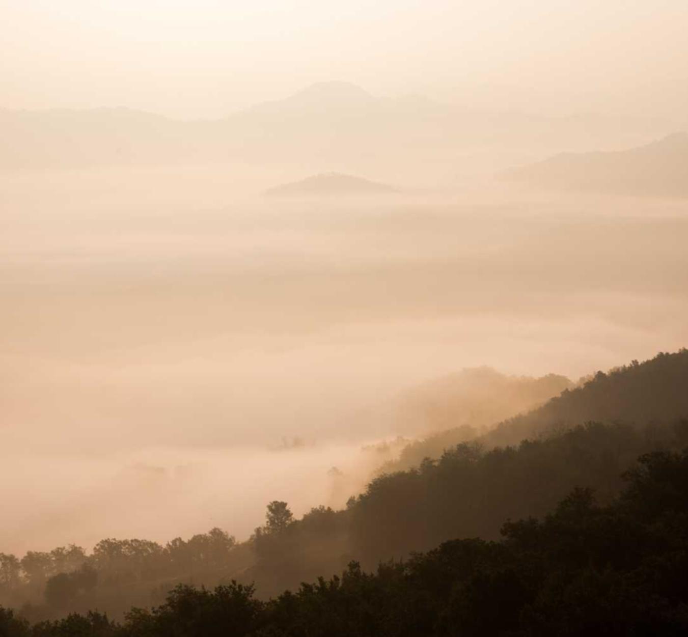 技术支持平台是否容易被警方抓获？