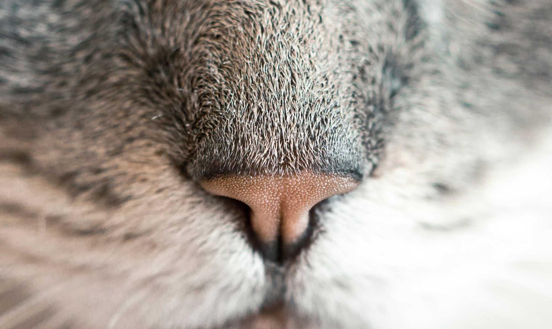 塘沽新公司注册代理费用