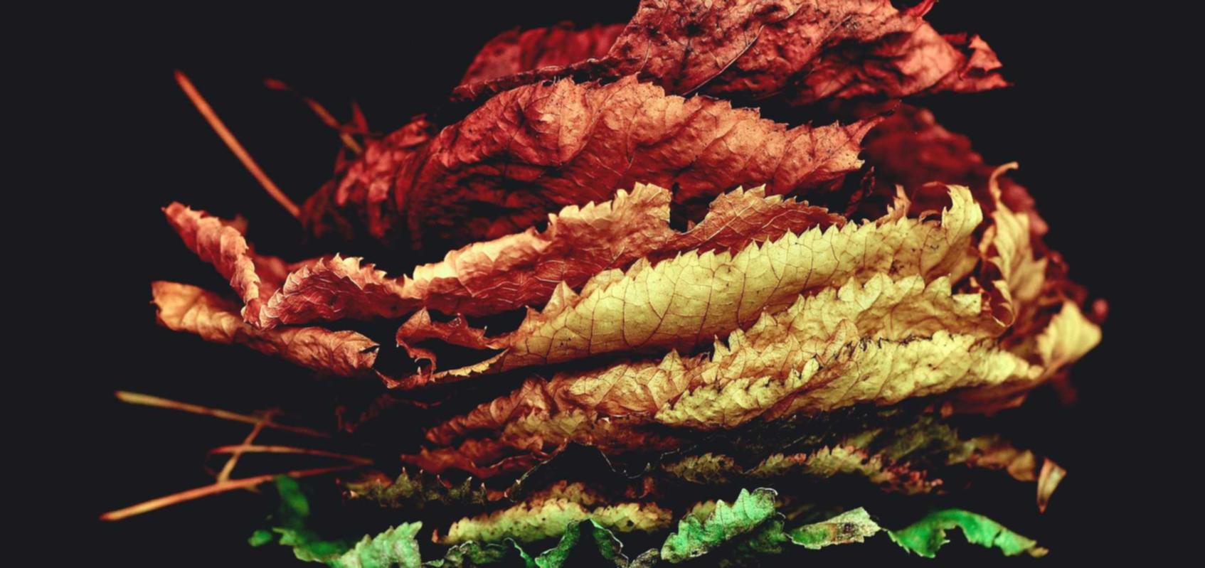 阿里云实名账号：联合航空app详情下载教程