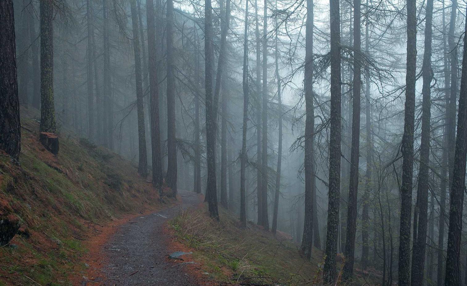 英雄这边请：大全口算app详情下载教程