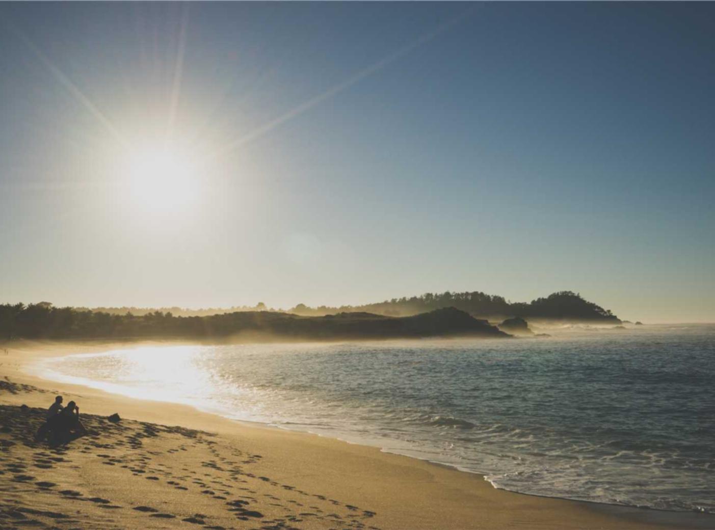 技术支持制造商在海外市场上的表现和前景预测