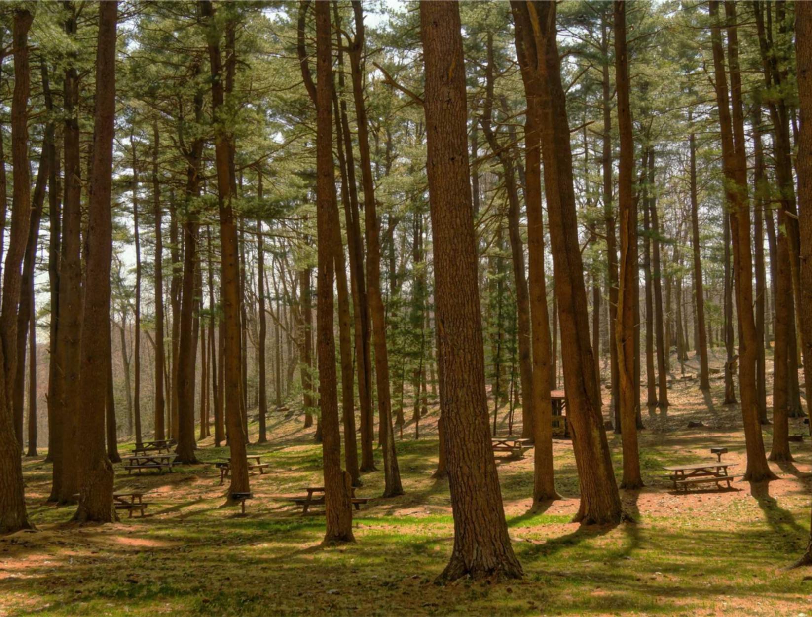 聚星西青代理企业注册费用