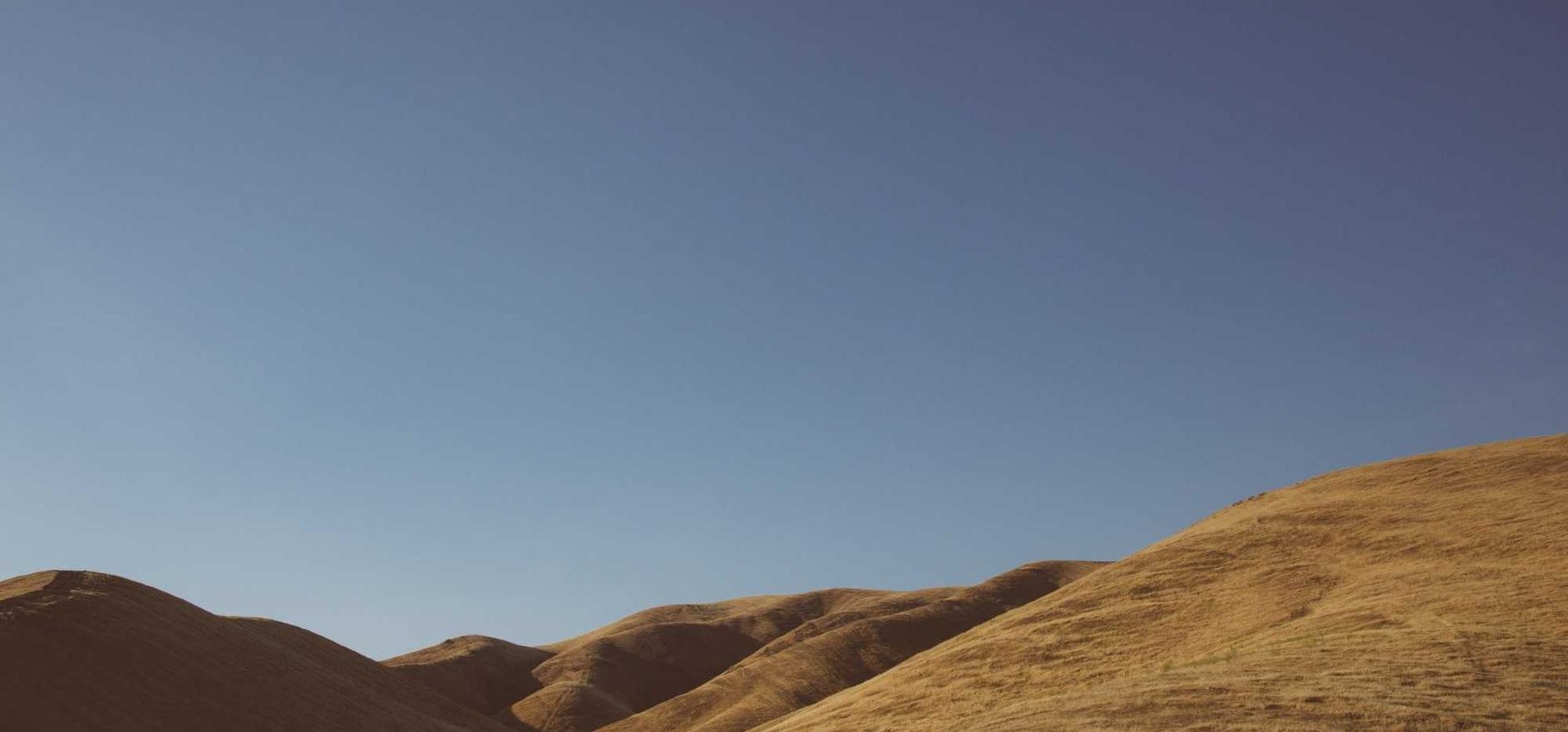 Peel百乐陈皮爆珠(细):小马易贷app官方详情下载教程