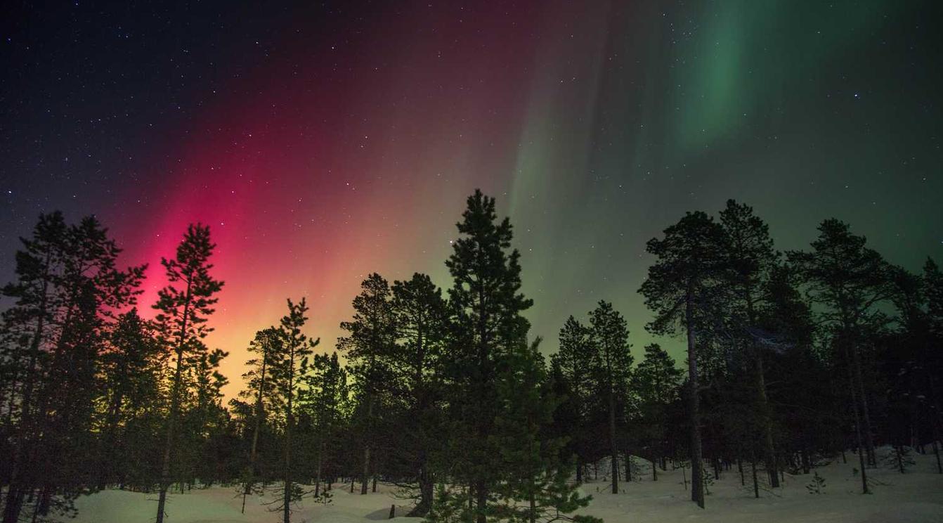 吸烟和个人幸福之间的关系