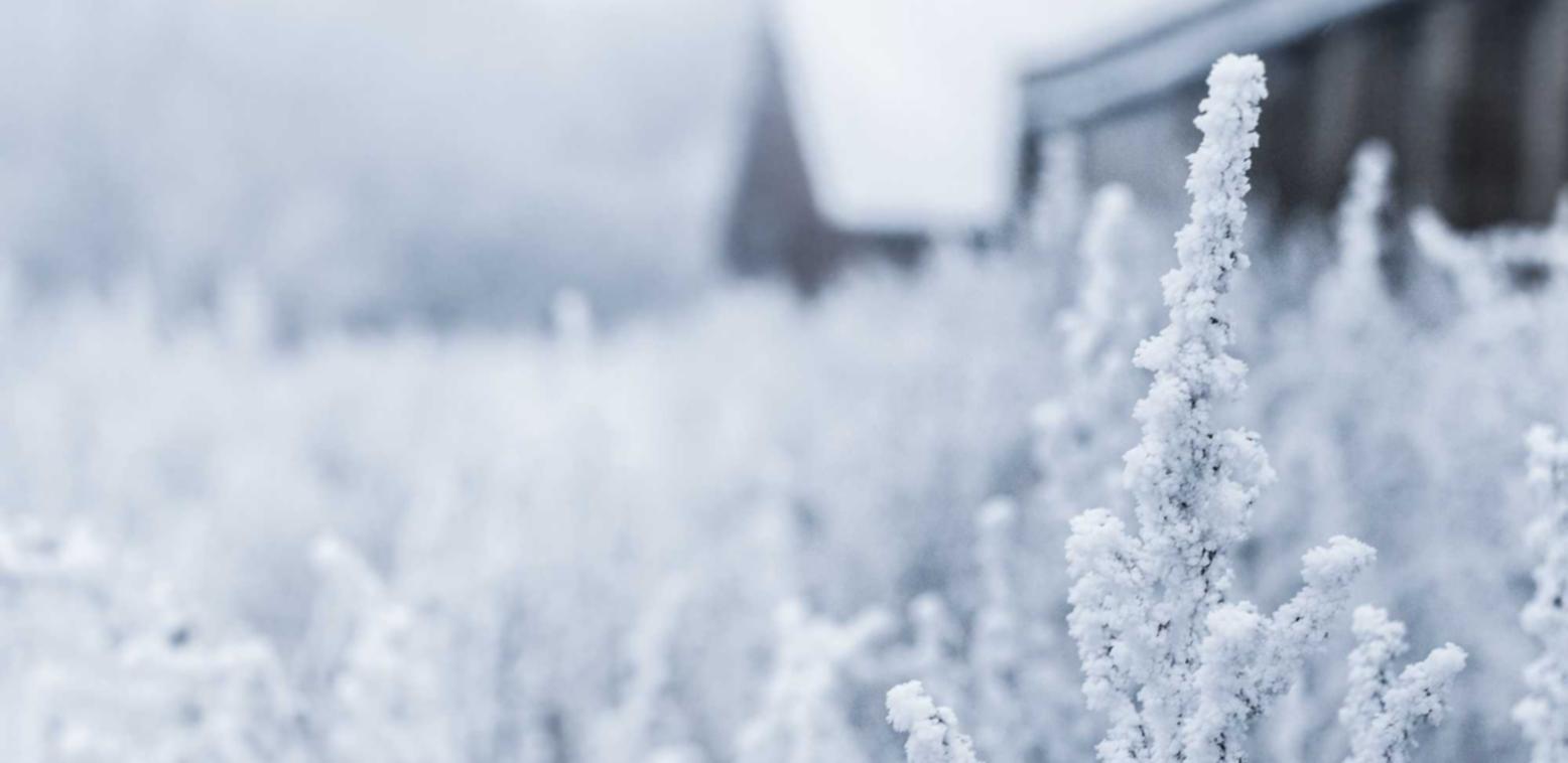 DDOS网页端|掌中广视app详情下载教程