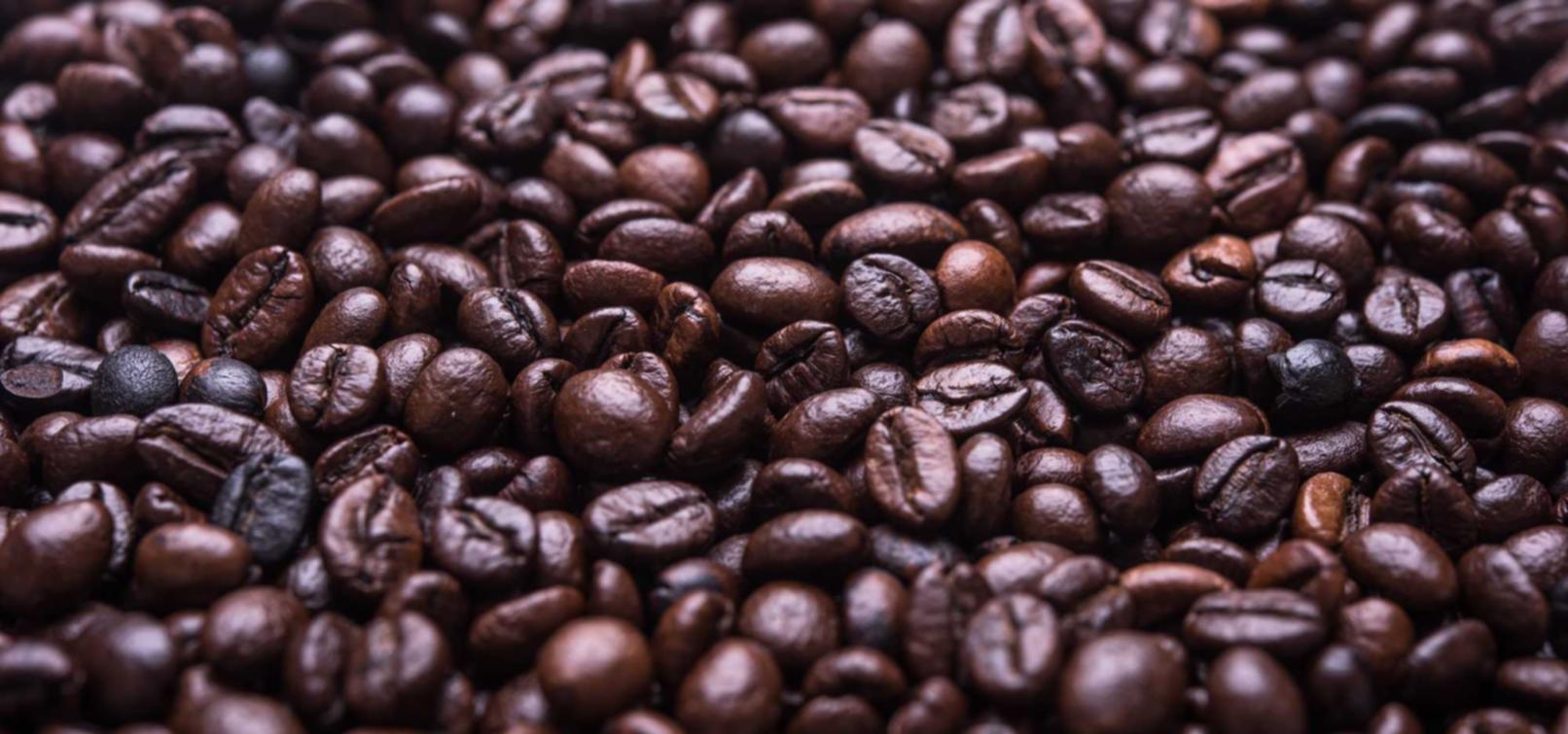 西部数码实名账号:实名制对政务网站的应用。