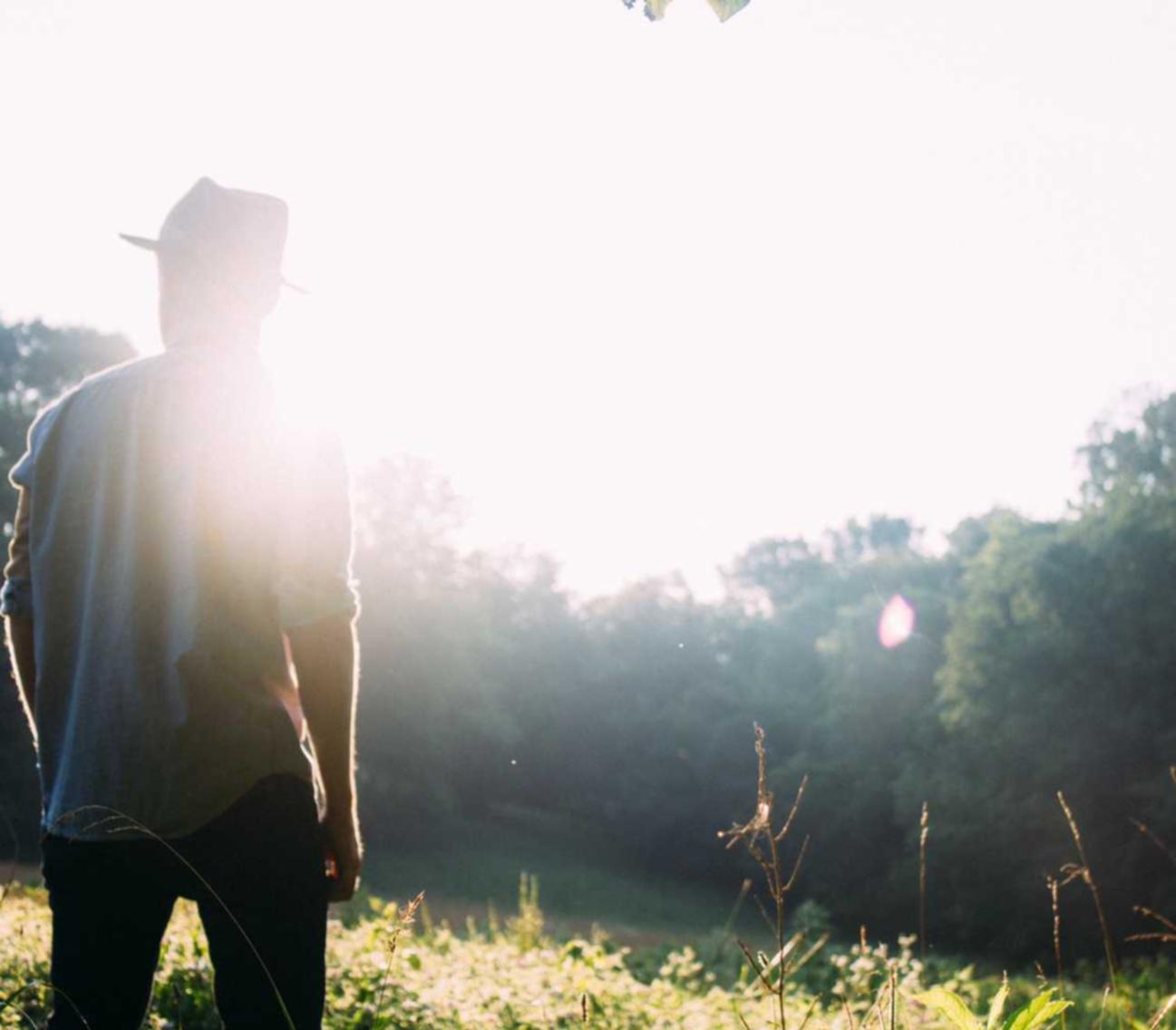 ZEST星空侧推芒果爆珠:数字实体购买平台