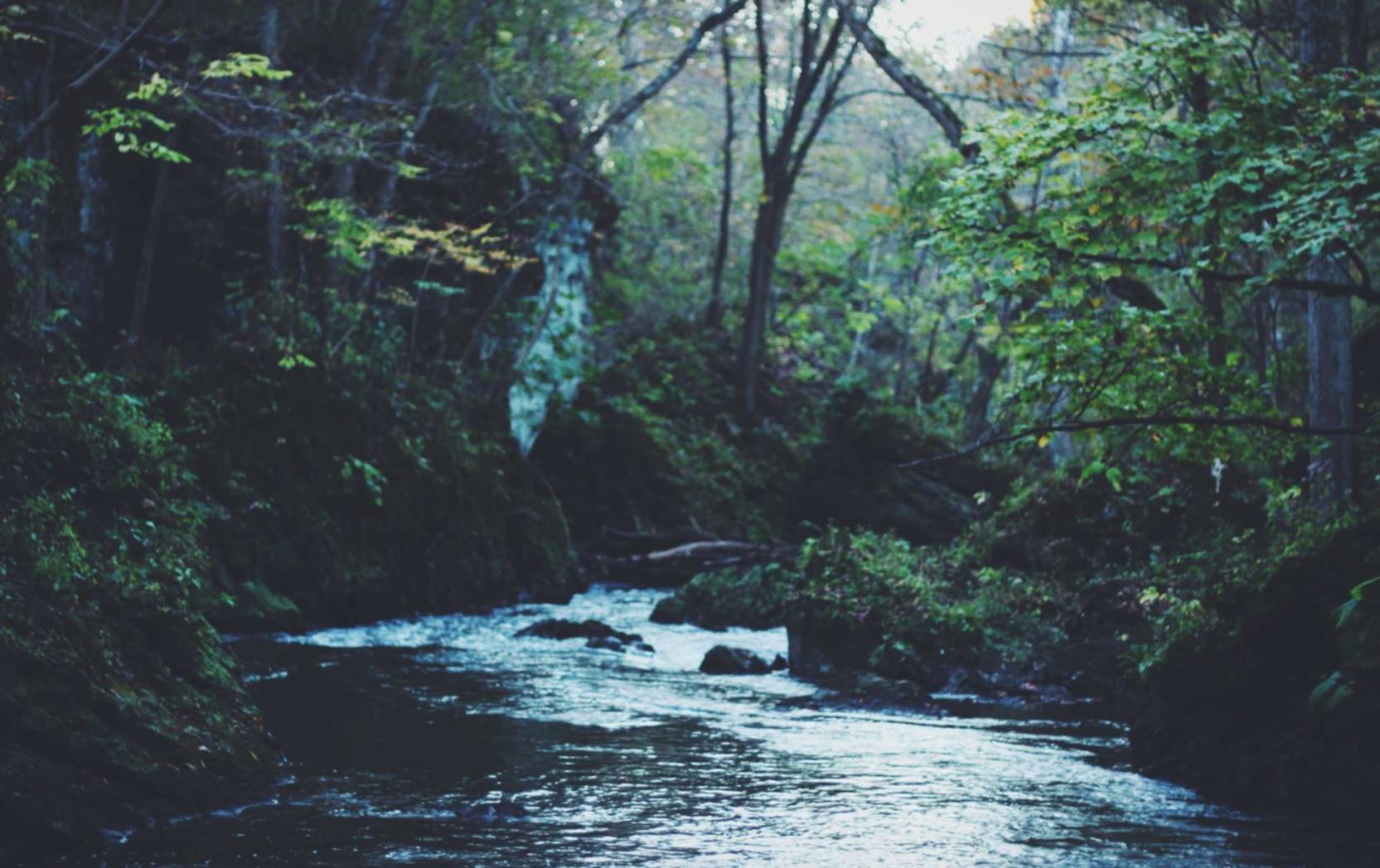 陌陌实名账号：健康行app详情下载教程