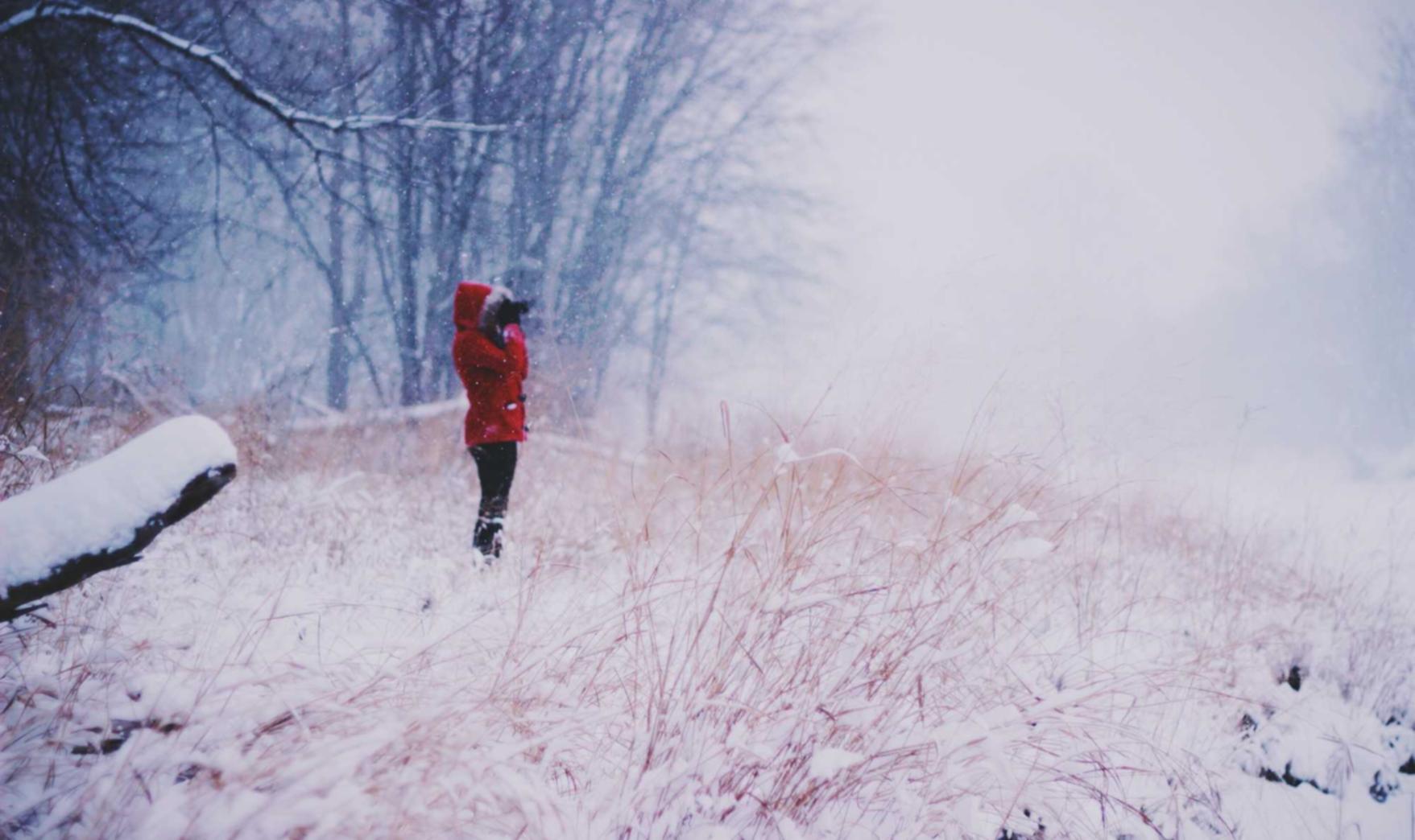 天美ballbet贝博app详情下载教程登录