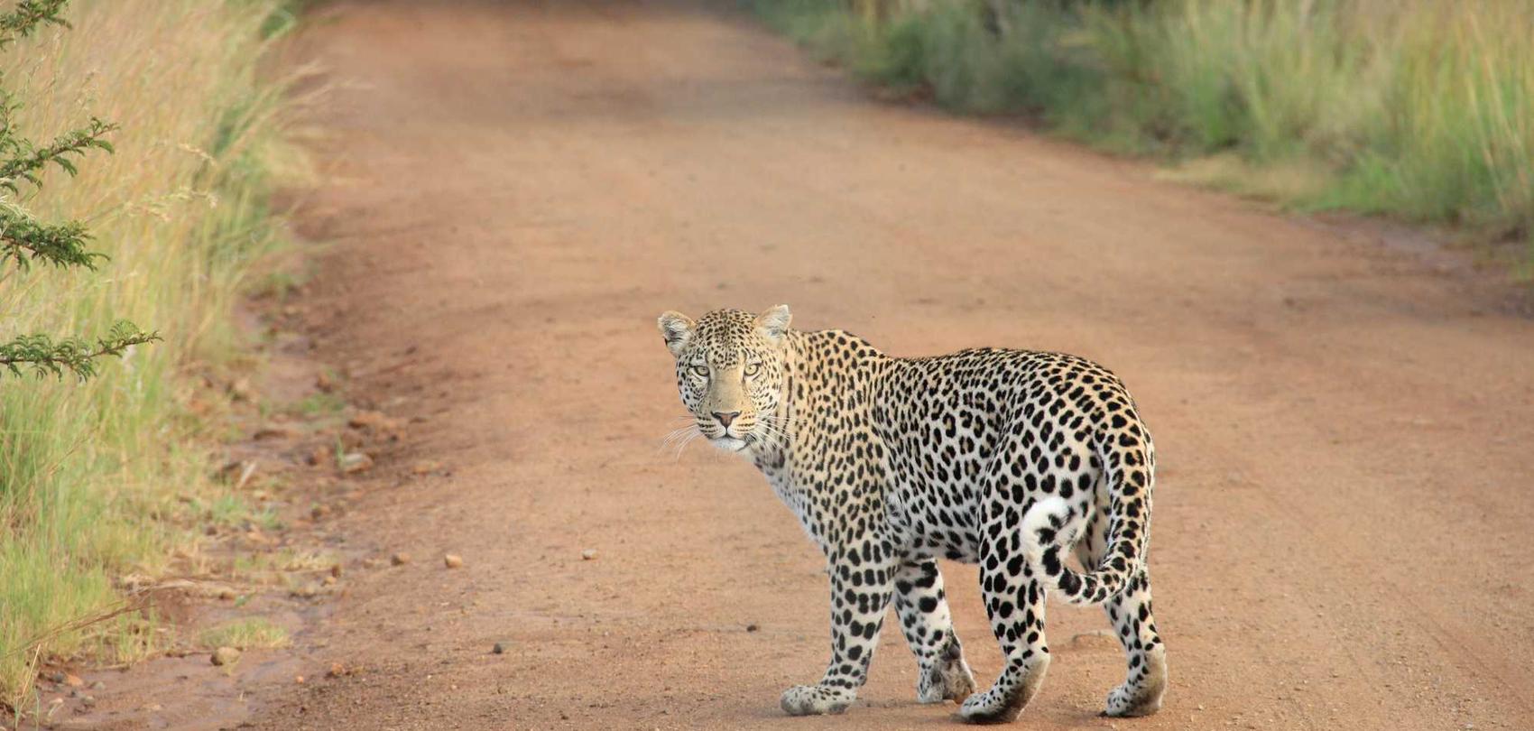 如何使用SEO与PPC实现业务增长 