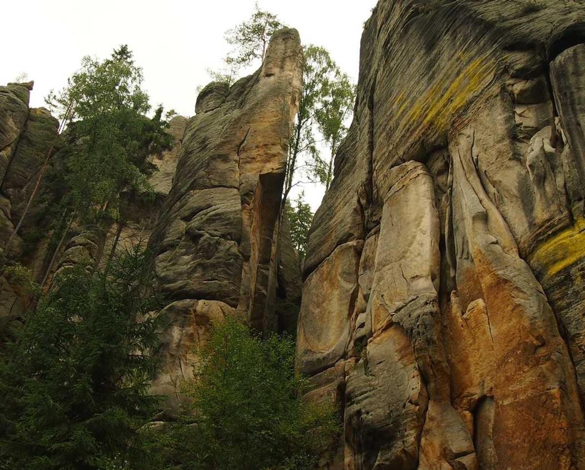 香烟相关的犯罪和交通安全 