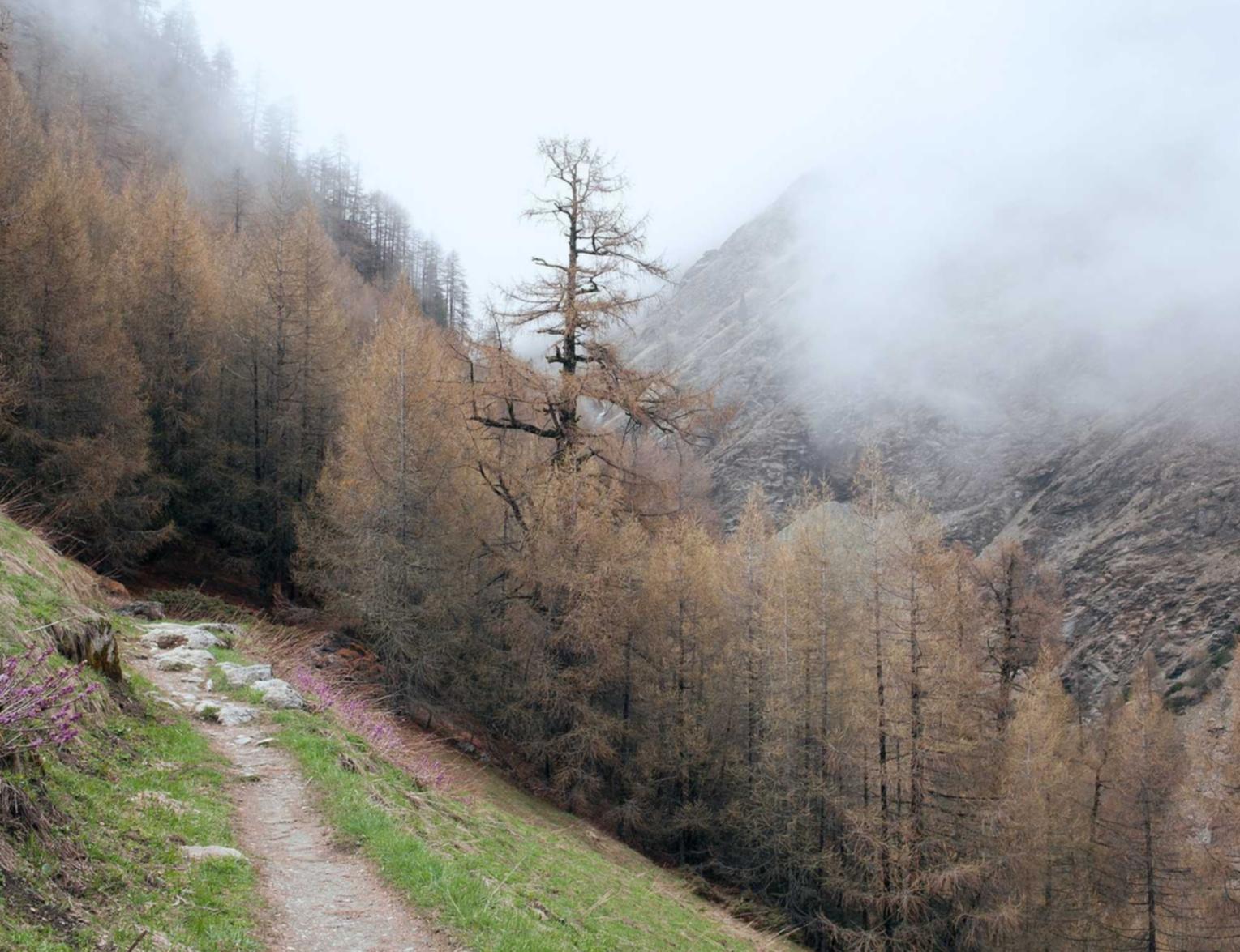 实名QQ号买卖:新悦代理注册