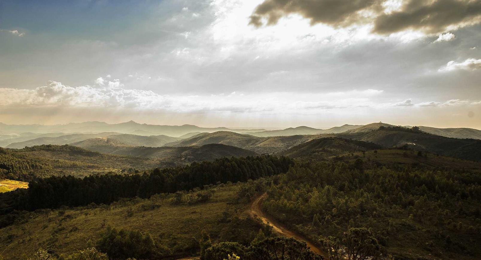 微信号批发市场：怎么开户券商平台