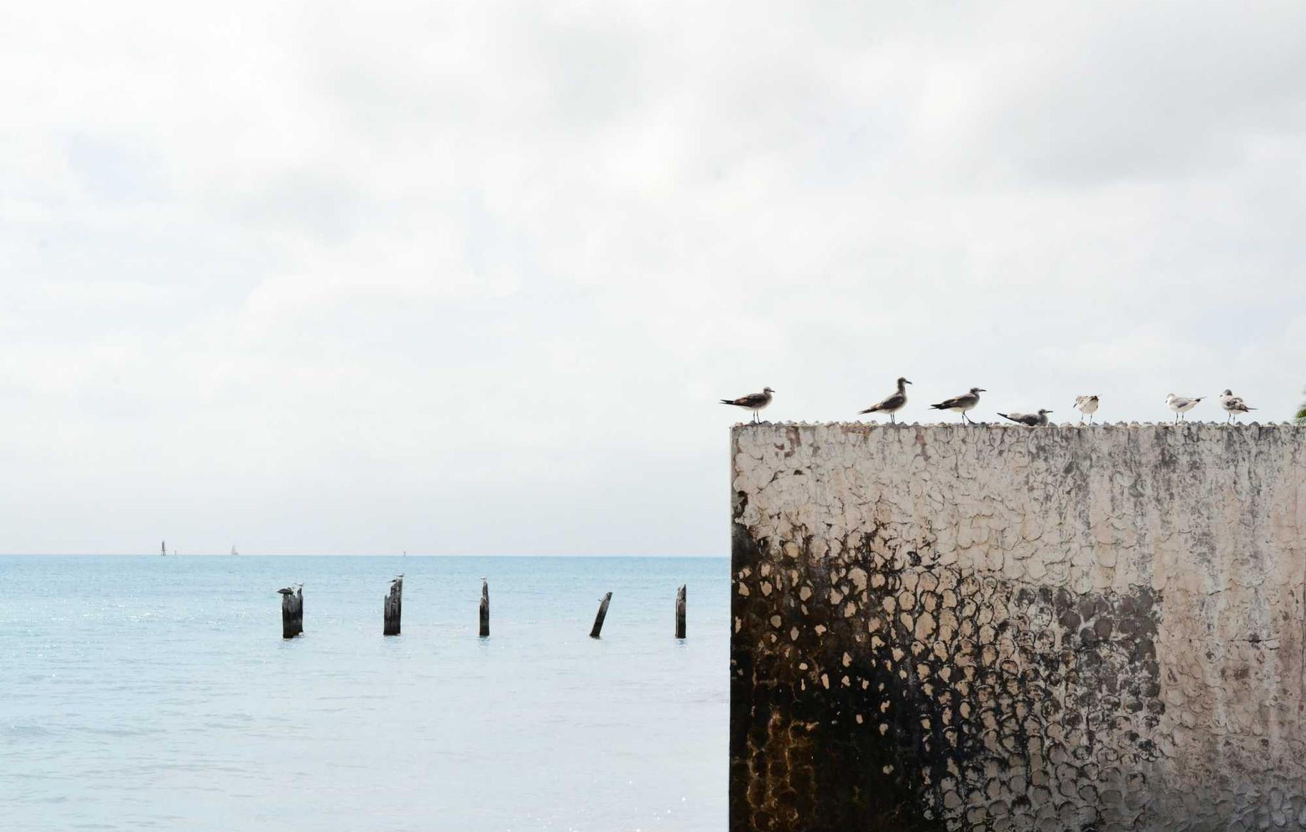 古剑奇谭Wegame版辅助- 青岛税务代理网上兼职平台