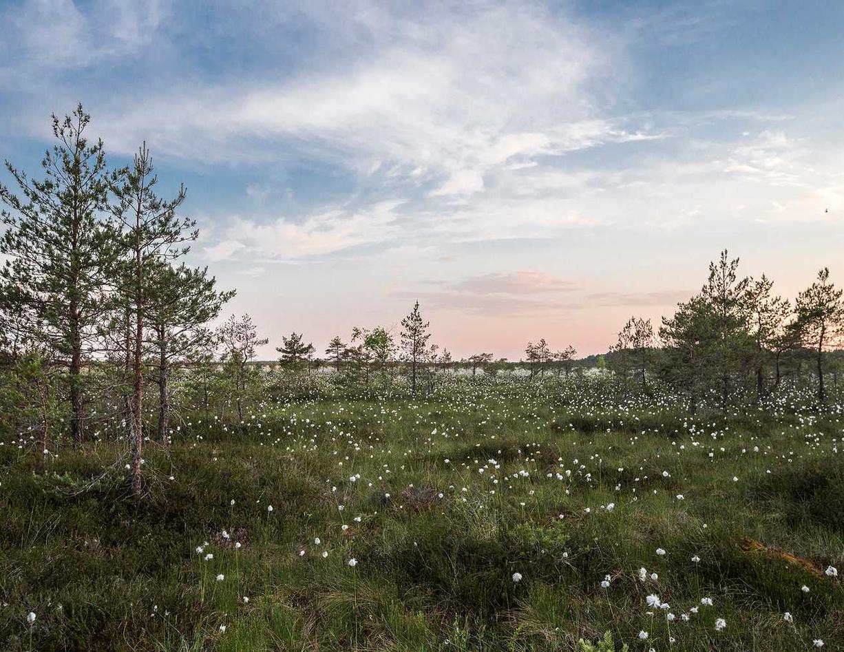 是否有达成协议的反技术支持合作伙伴？