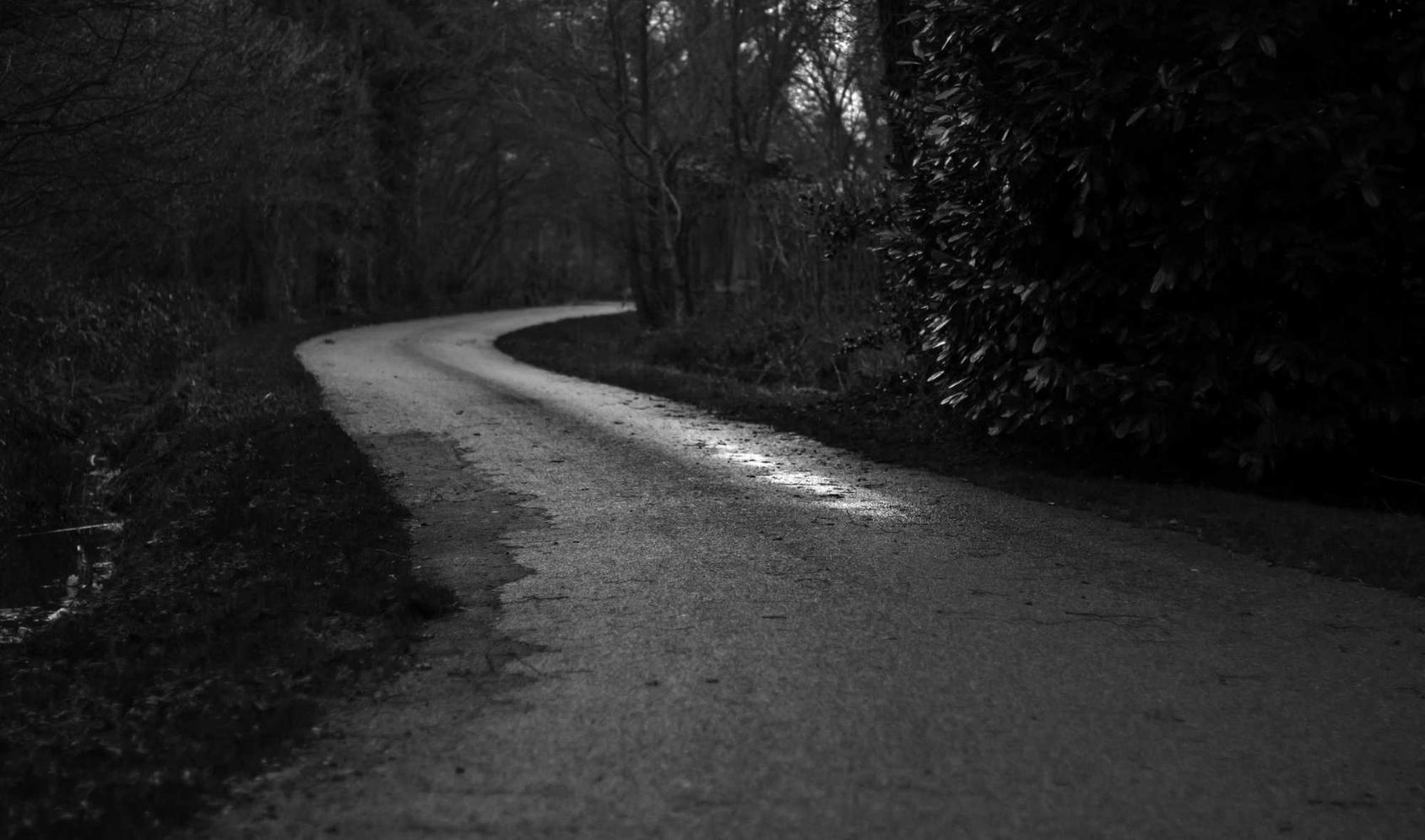 一品传承2狗狗购买平台