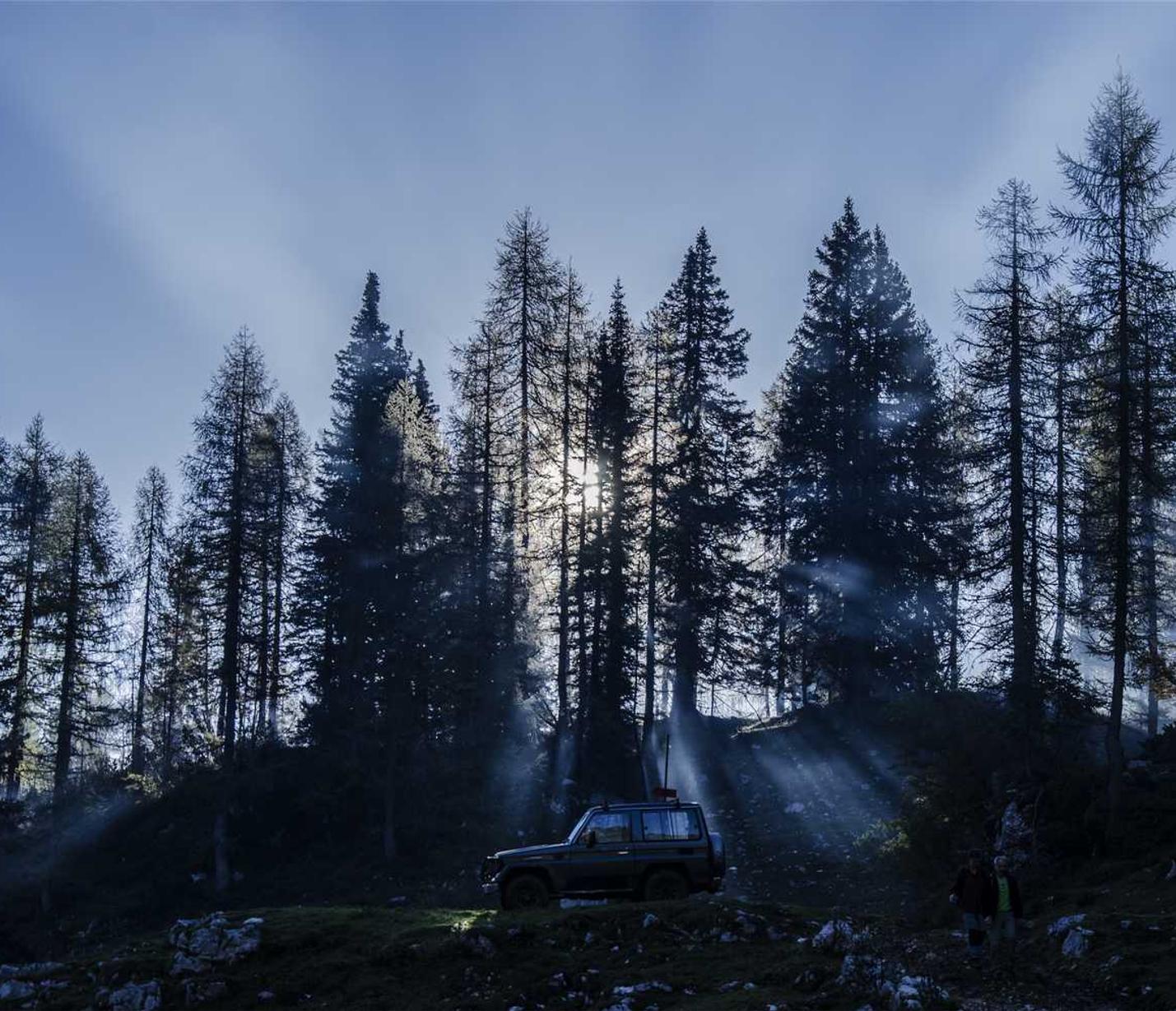 荣耀app详情下载教程