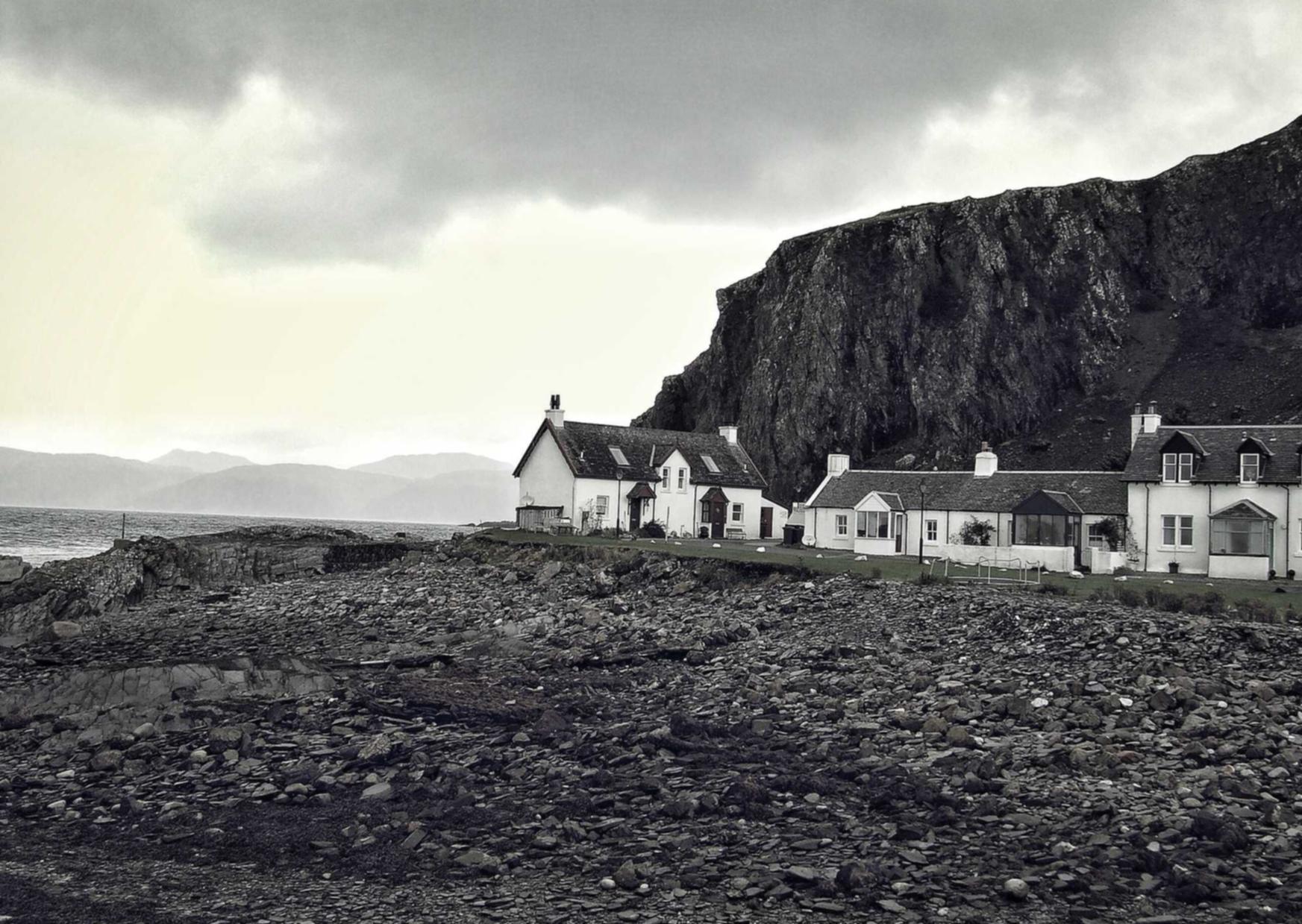 妖精的尾巴:勇气之旅:澳洲猫咪购买平台