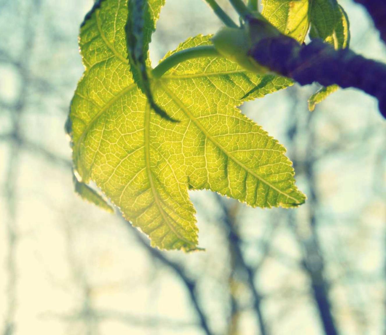 高德目标市场的细分和营销策略
