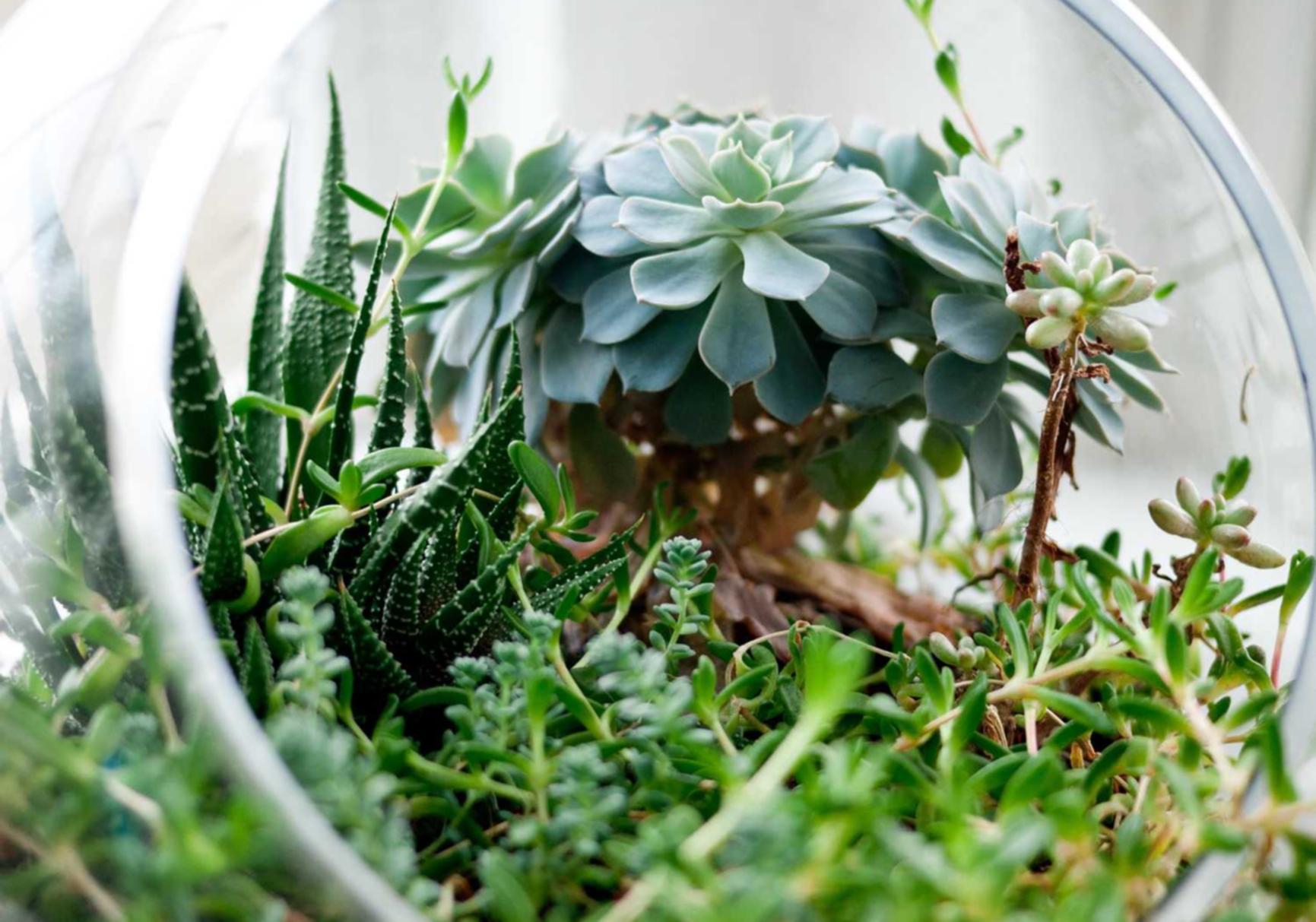 手机卡顿怎么解决- 阿拉德之怒玩家账号注册