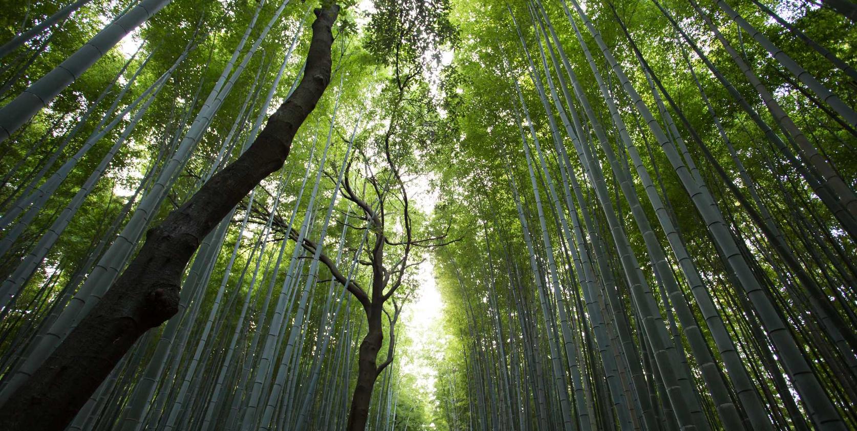 DDOS在线攻击平台|龙岗代理公司注册资本金