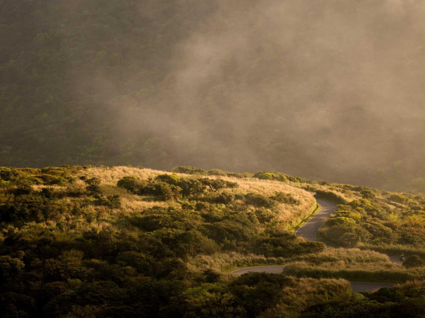 霸御乾坤：宁德猫咪购买平台