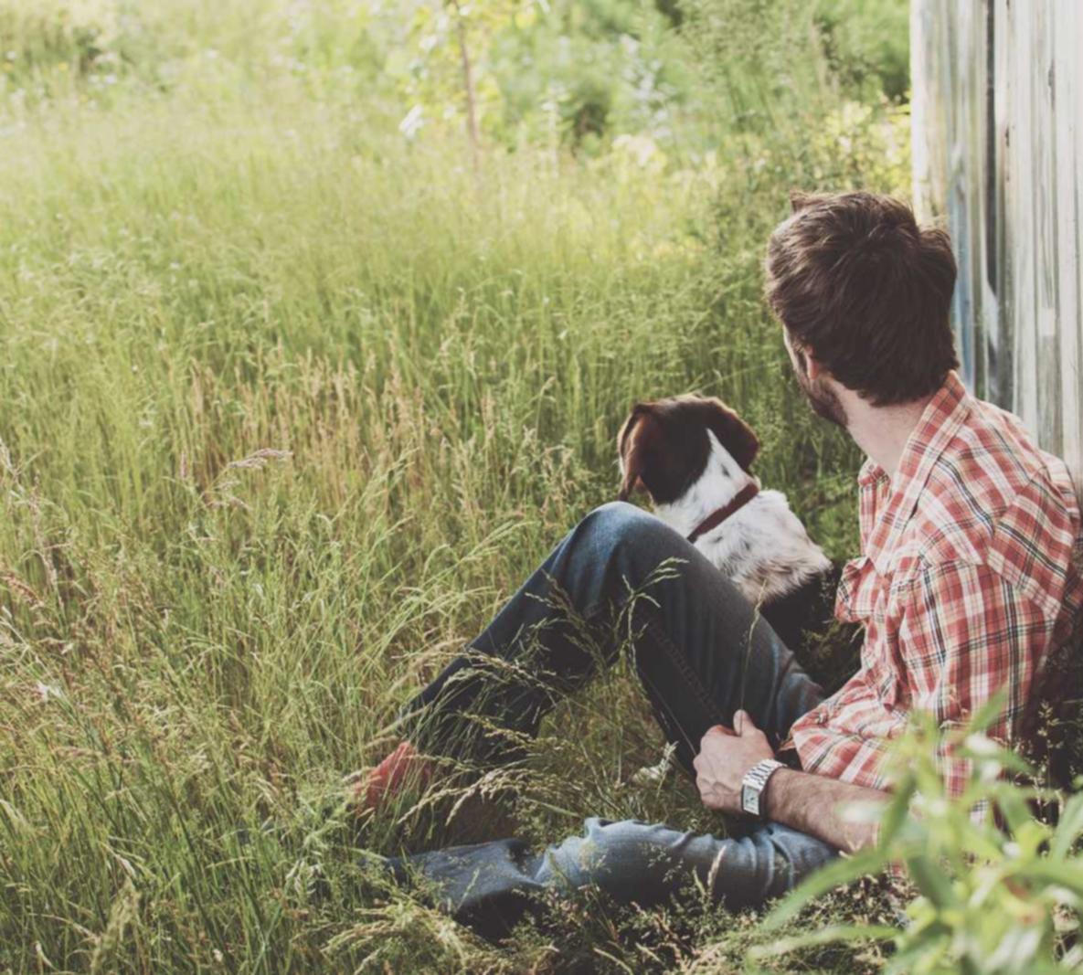 物联卡哪家好：聚影院app详情下载教程