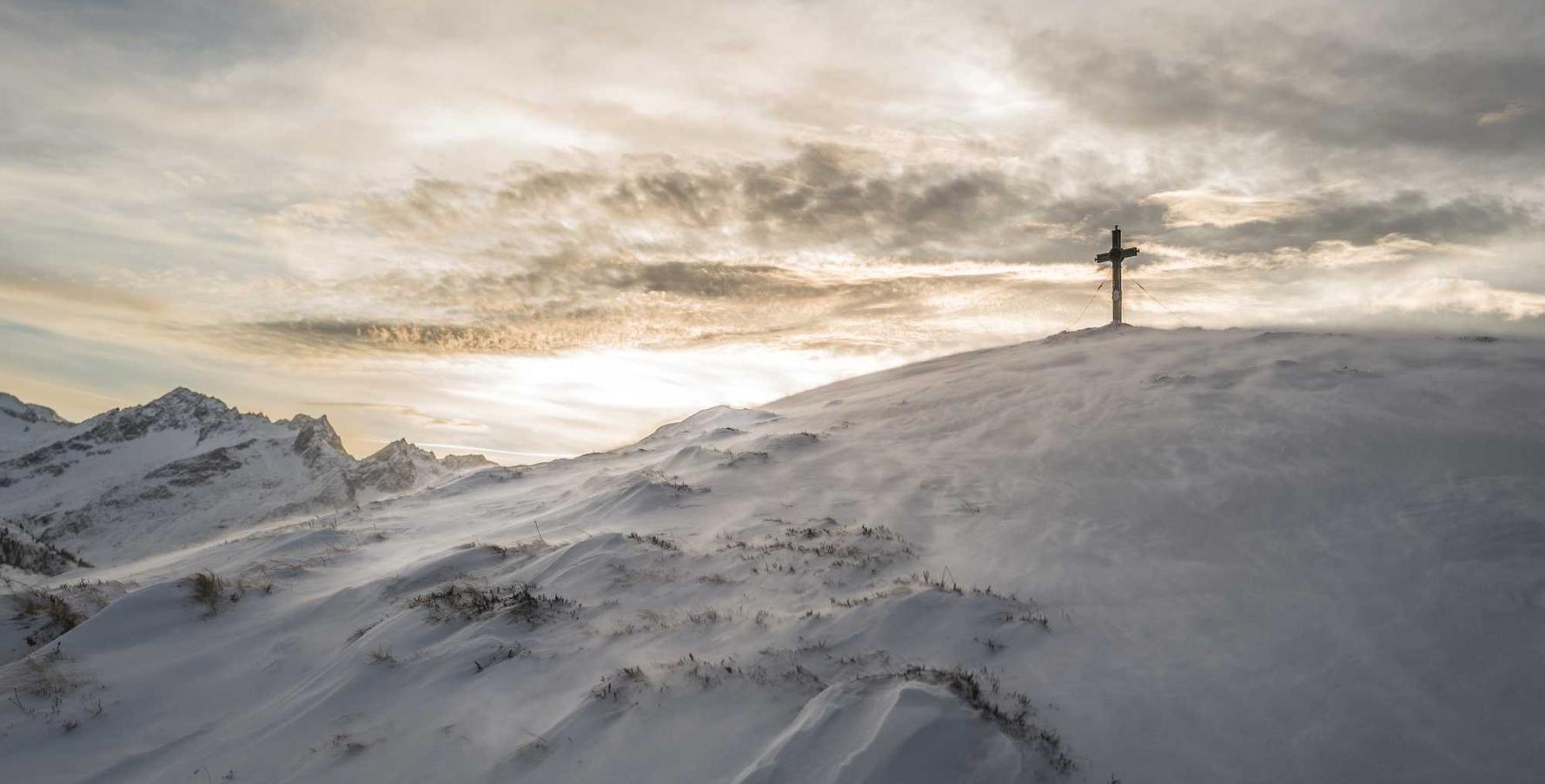 DDOS attack|线上平台购买鲜肉