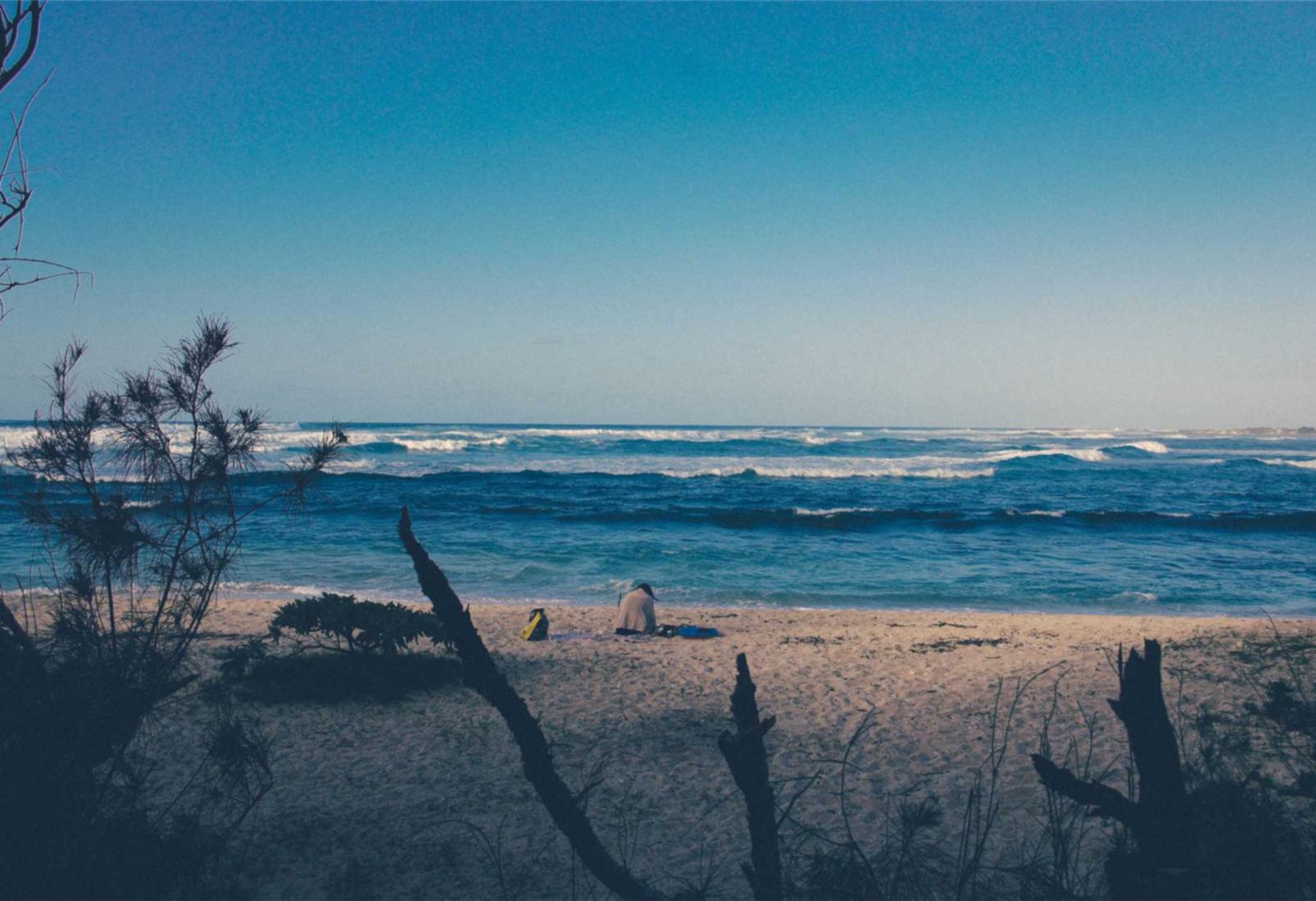 星辉代理招商平台网