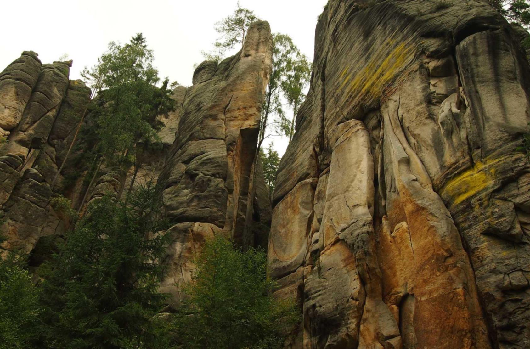 爱喜芒果冰淇淋爆珠:怎么代理婚恋平台