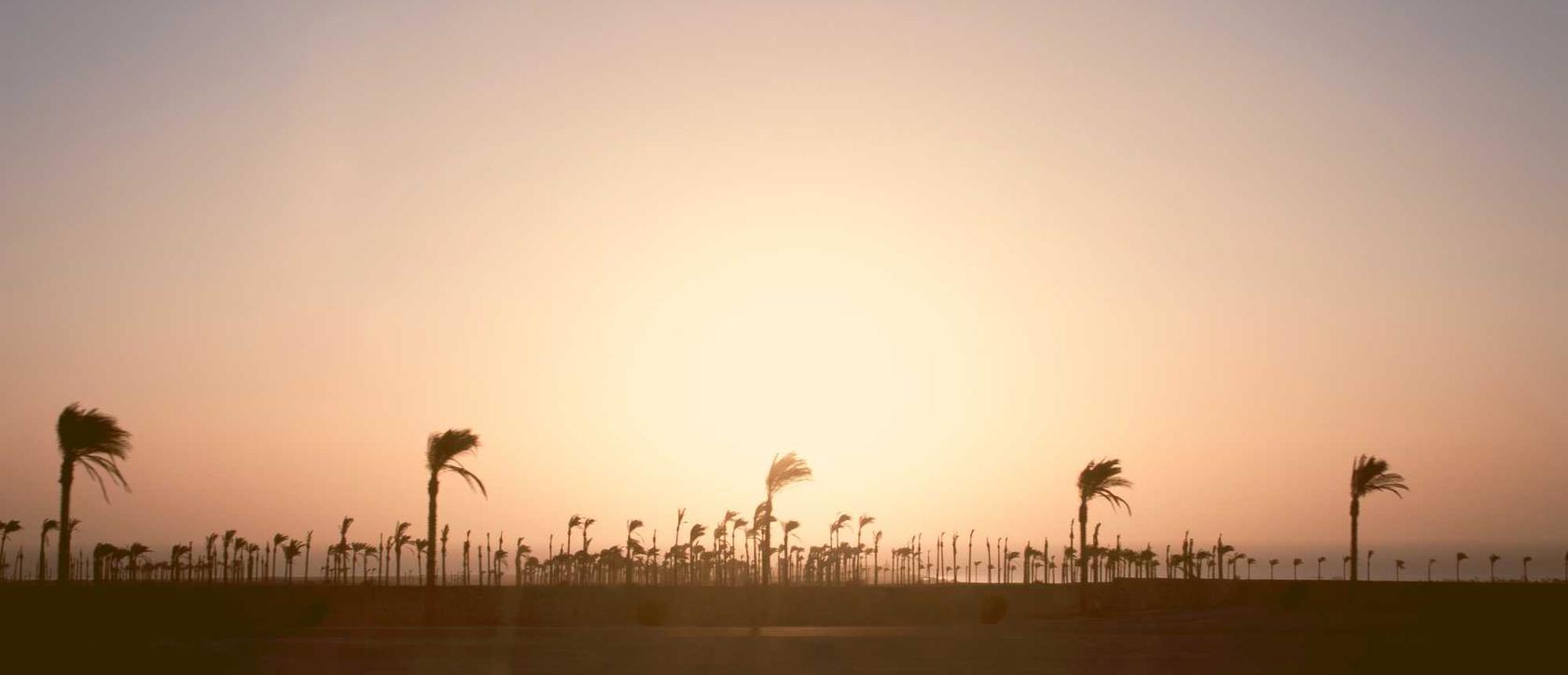 趣约会实名账号：实名制网络是否会影响网站用户量