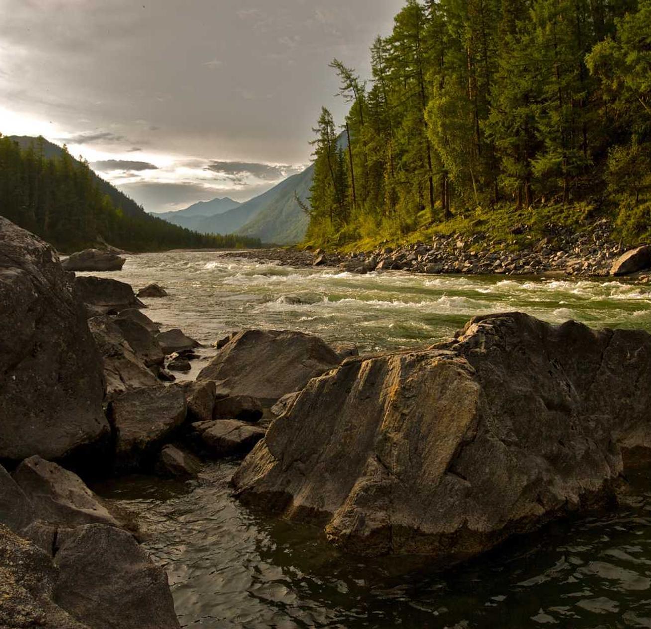 伴读app详情下载教程