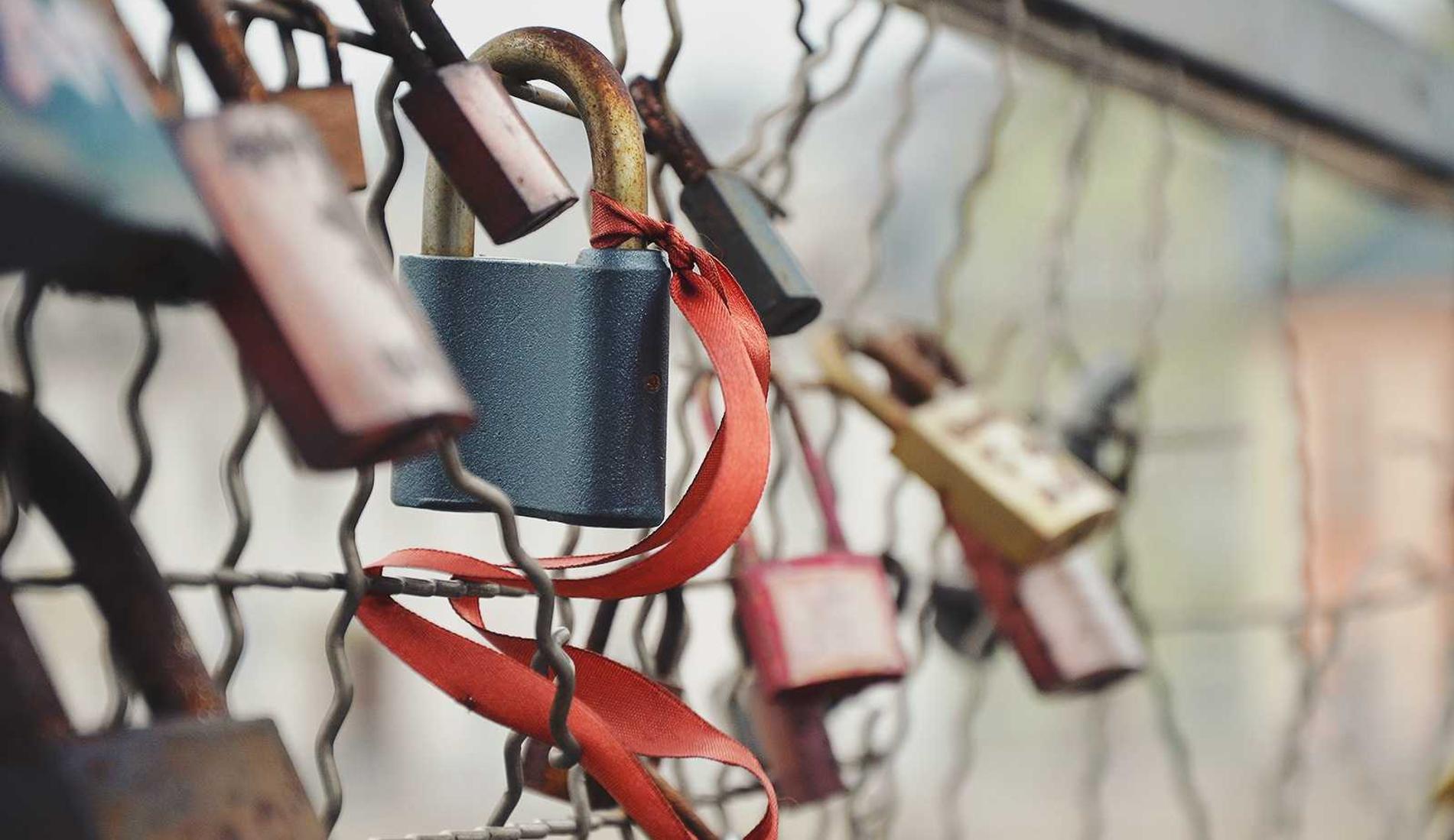 映月城与电子姬：志愿汇app详情下载教程