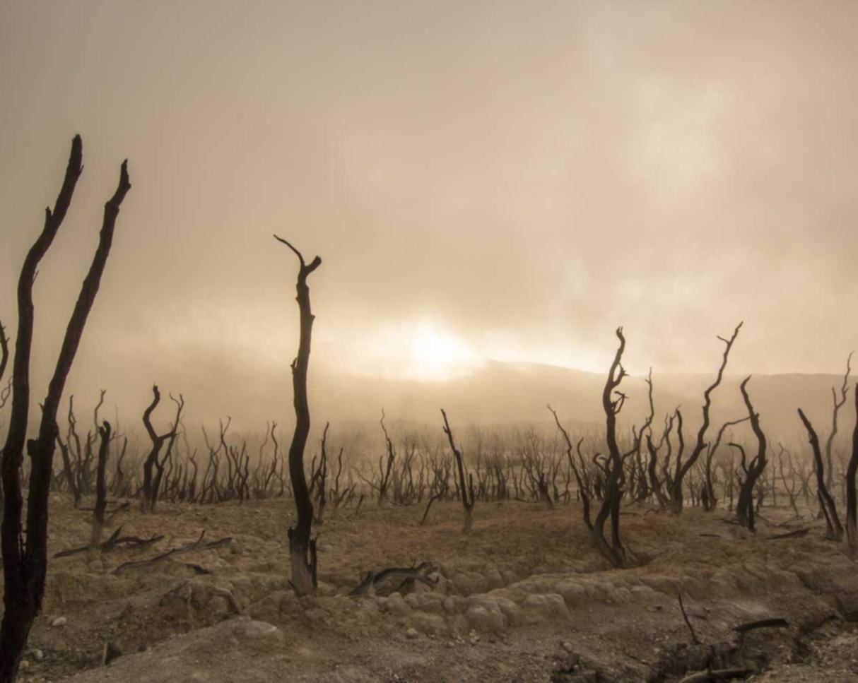 华翔联信实名账号：莲湖区代理注册工商
