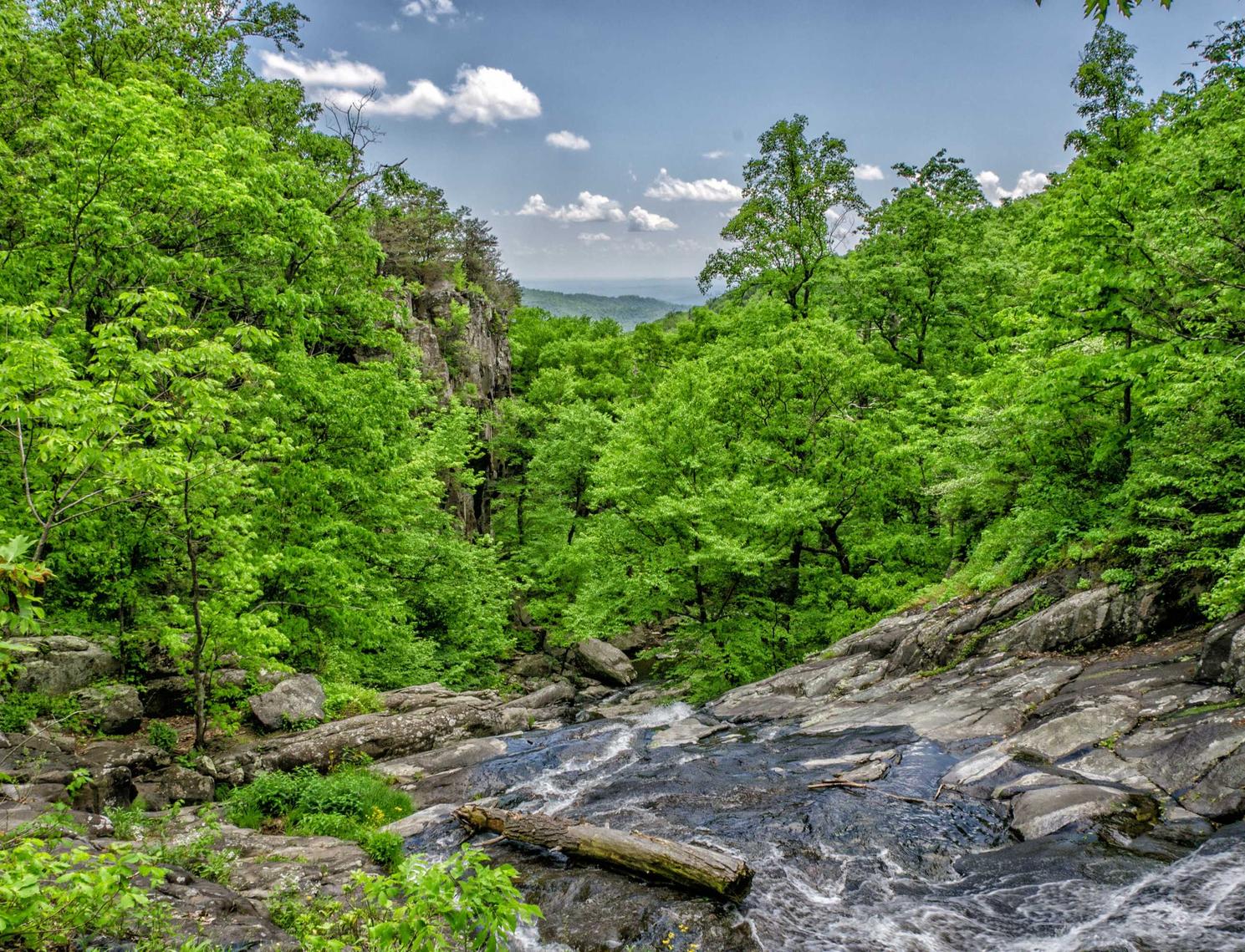 门徒直播平台加盟代理
