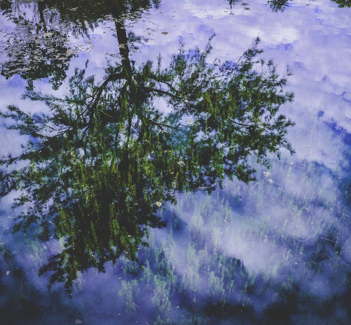 铁塔猫冰激凌爆珠（粗）：湖北体彩aPP详情下载教程