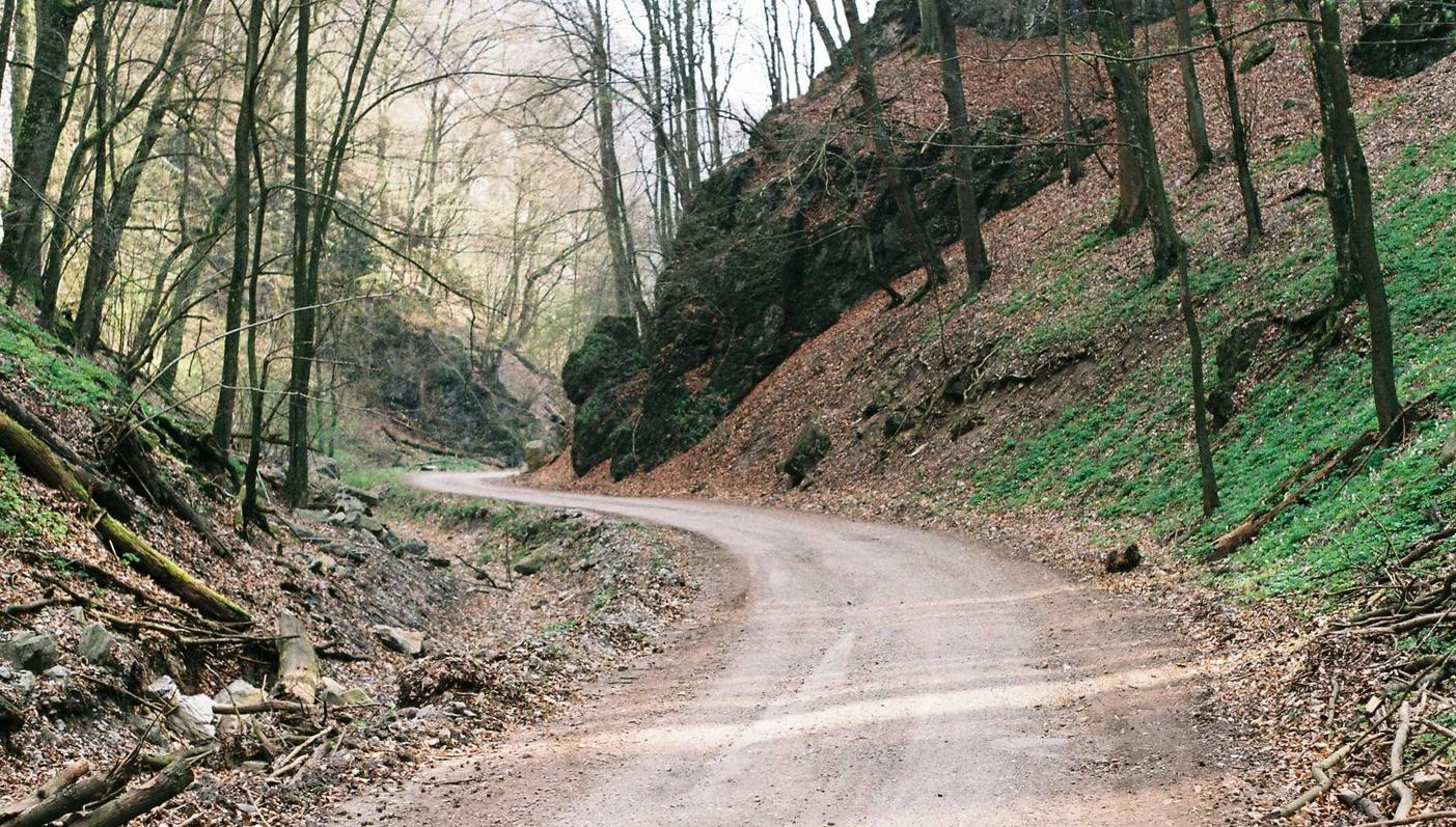 已实名账号：荞麦吐司购买平台