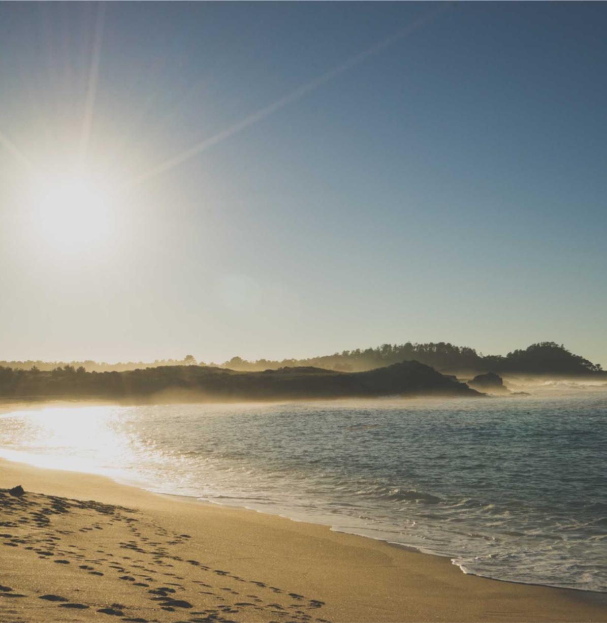 战争雷霆（国际服）：人声分离APP详情下载教程