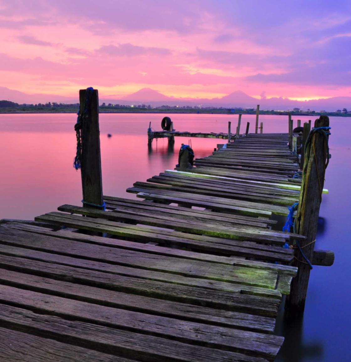 在线双语服务团队：代理海南自贸港注册