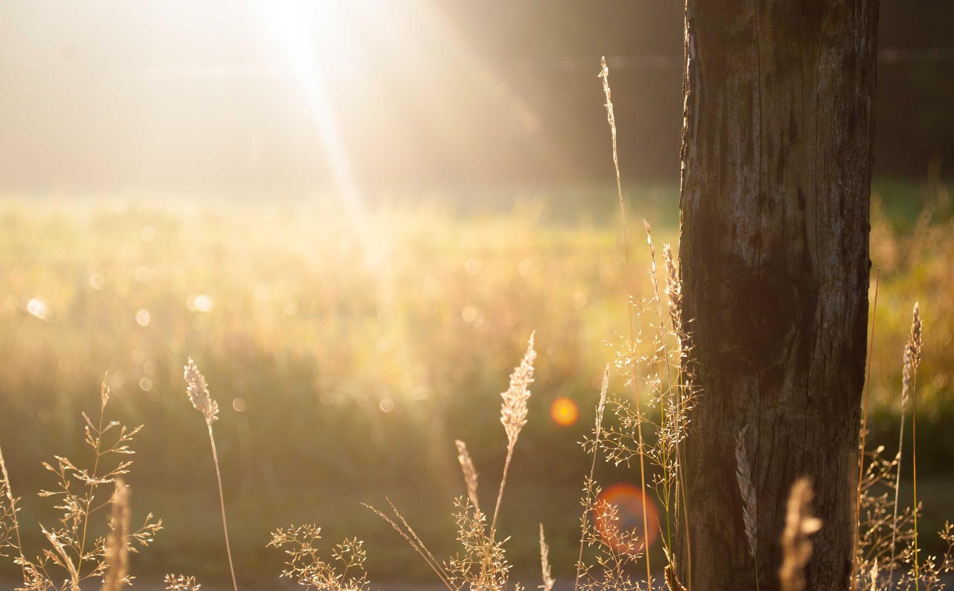 腾越营口游戏平台代理