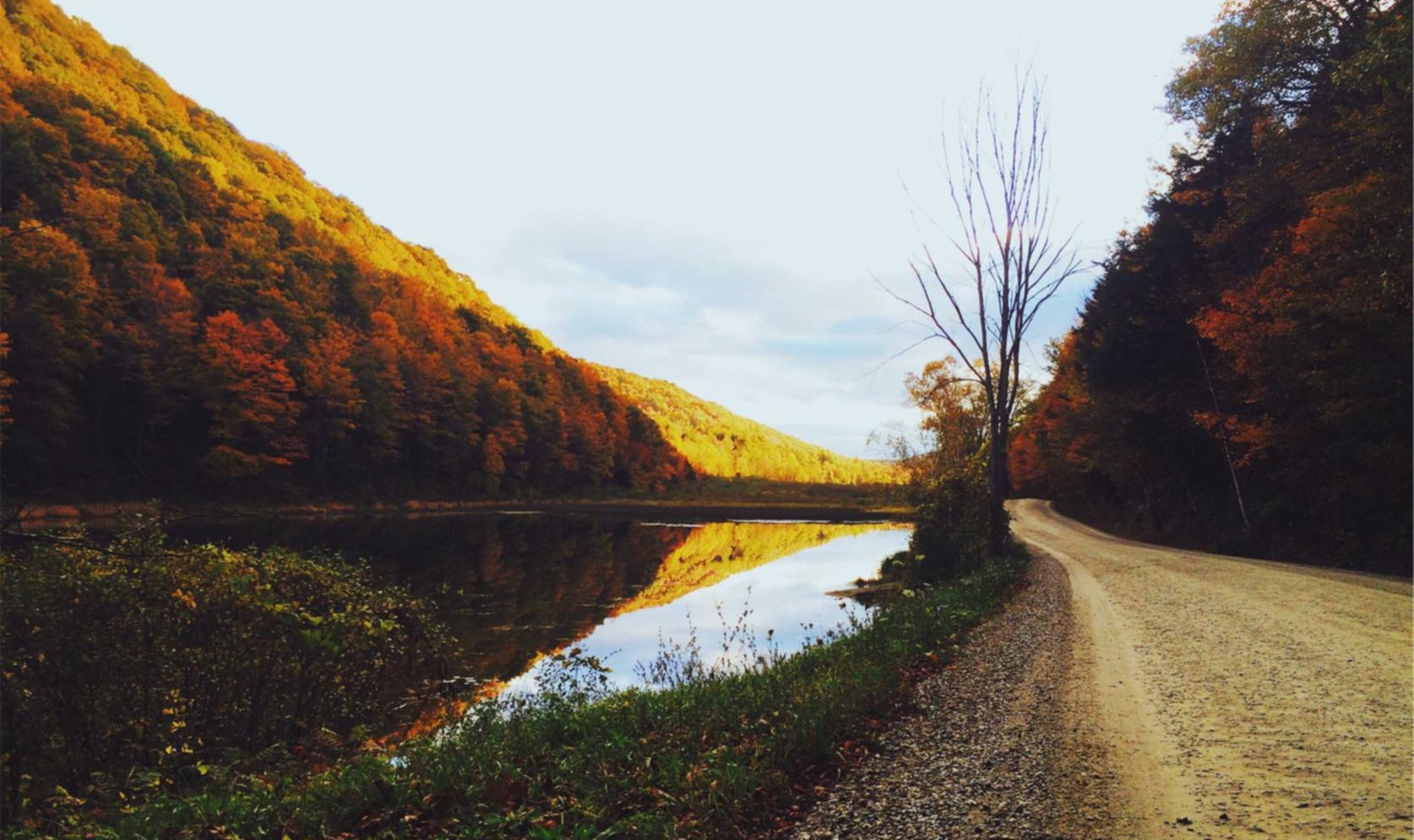 神佑释放：阳西注册代理公司