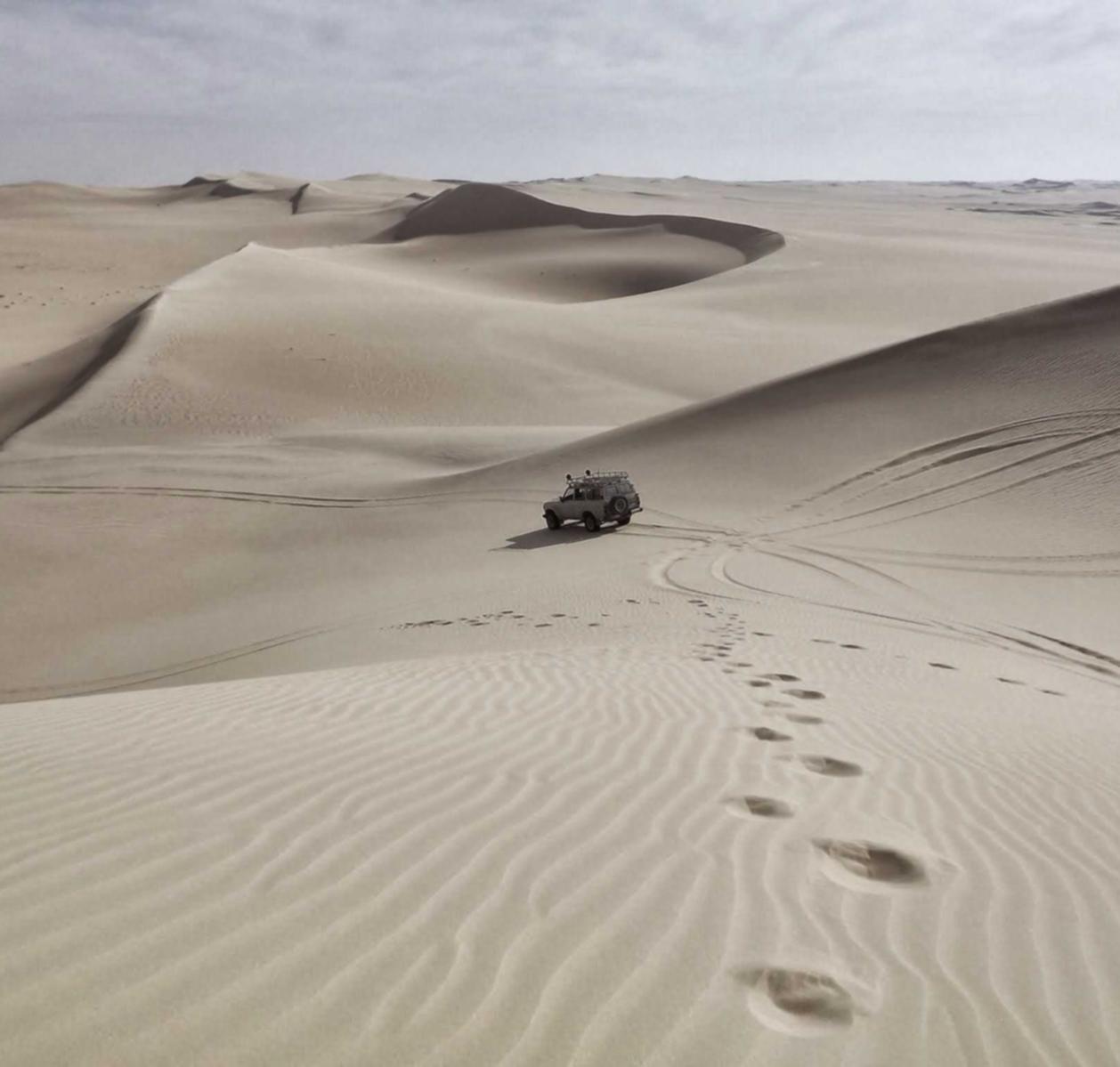 弹弹堂：详情下载教程柑橘直播app最近更新