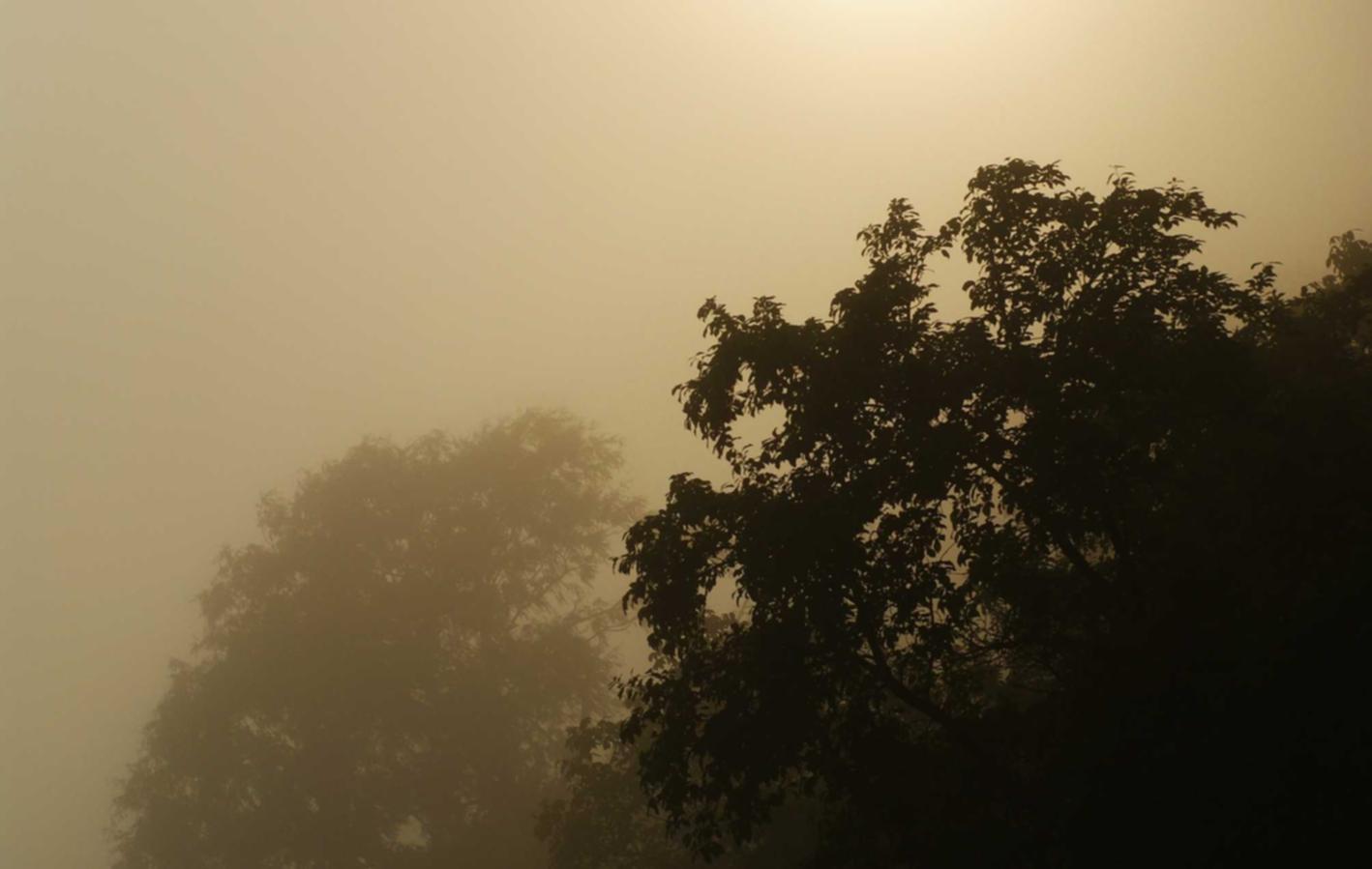 银龄卡实名账号：实名账号和苏宁易购实名认证