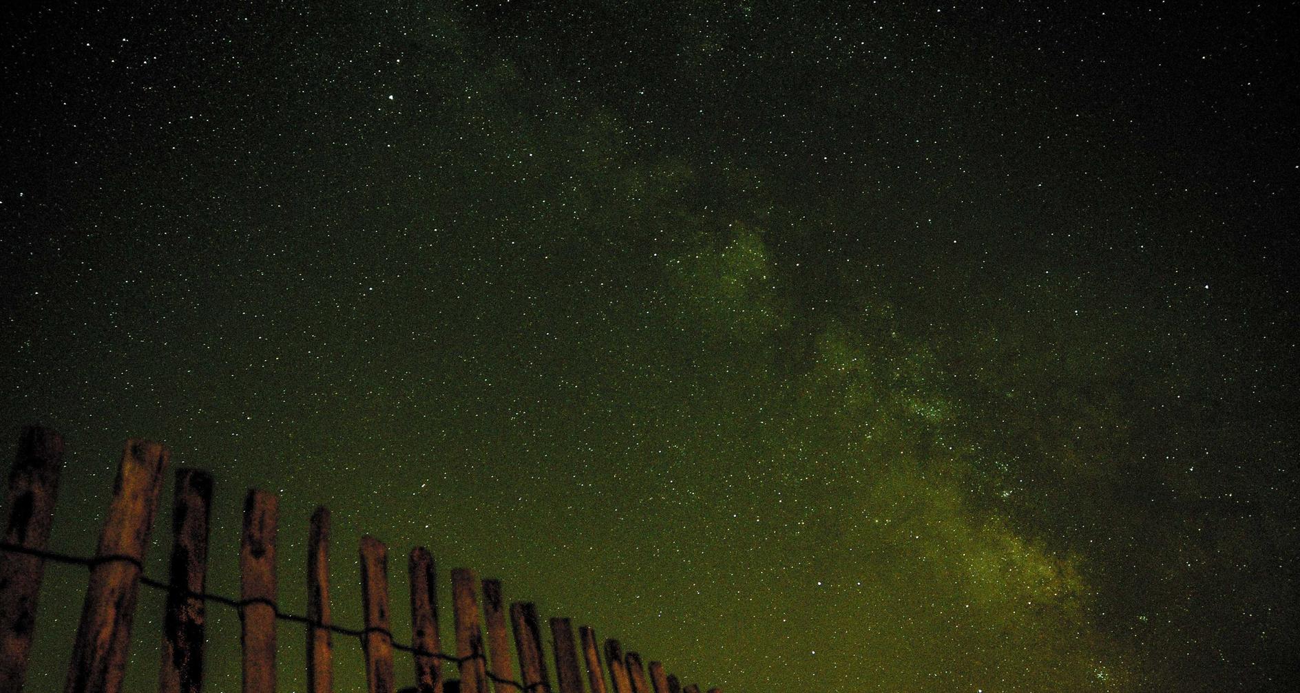 短信验证在软件开发中的应用？